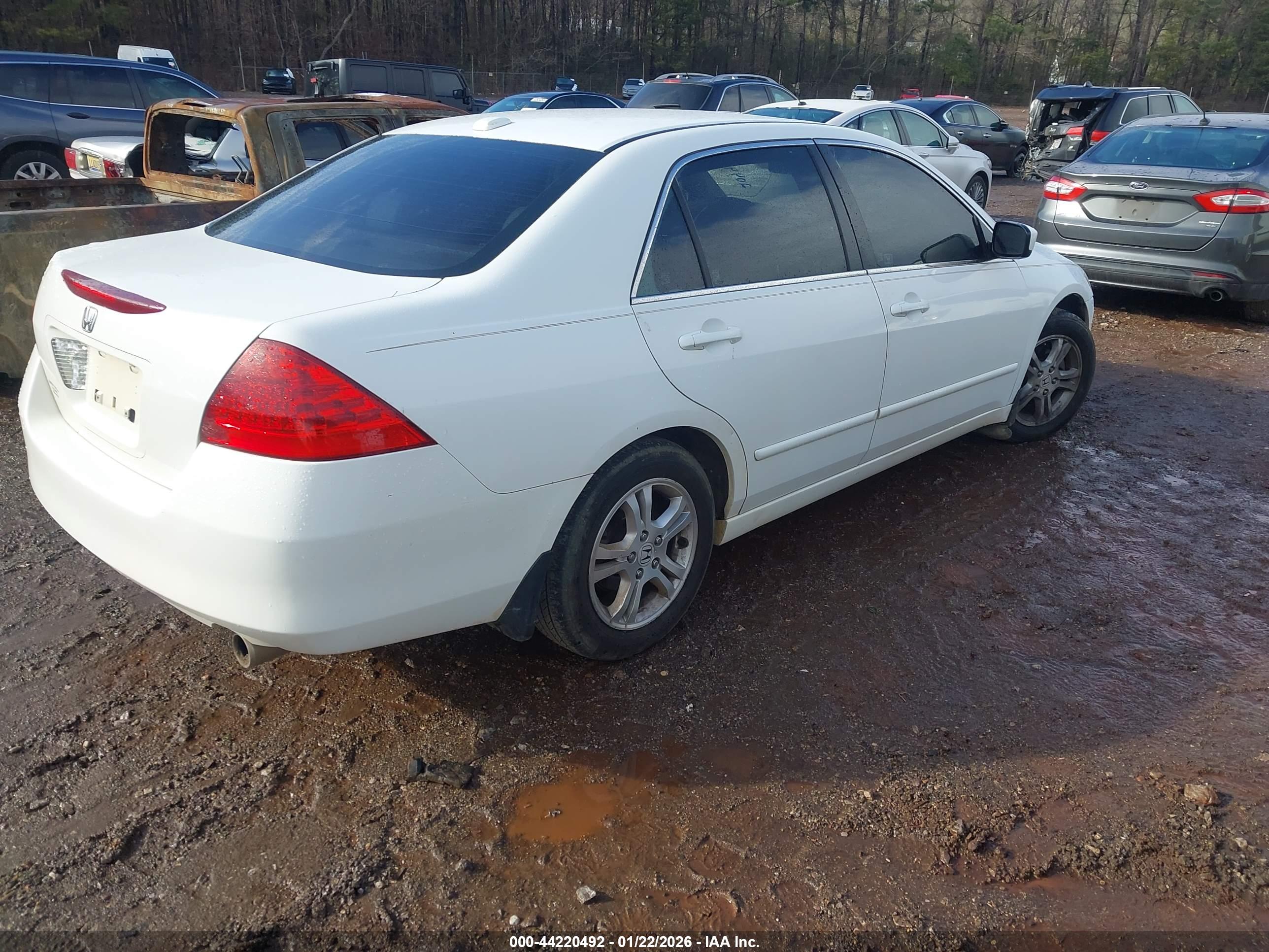 HONDA ACCORD image 4