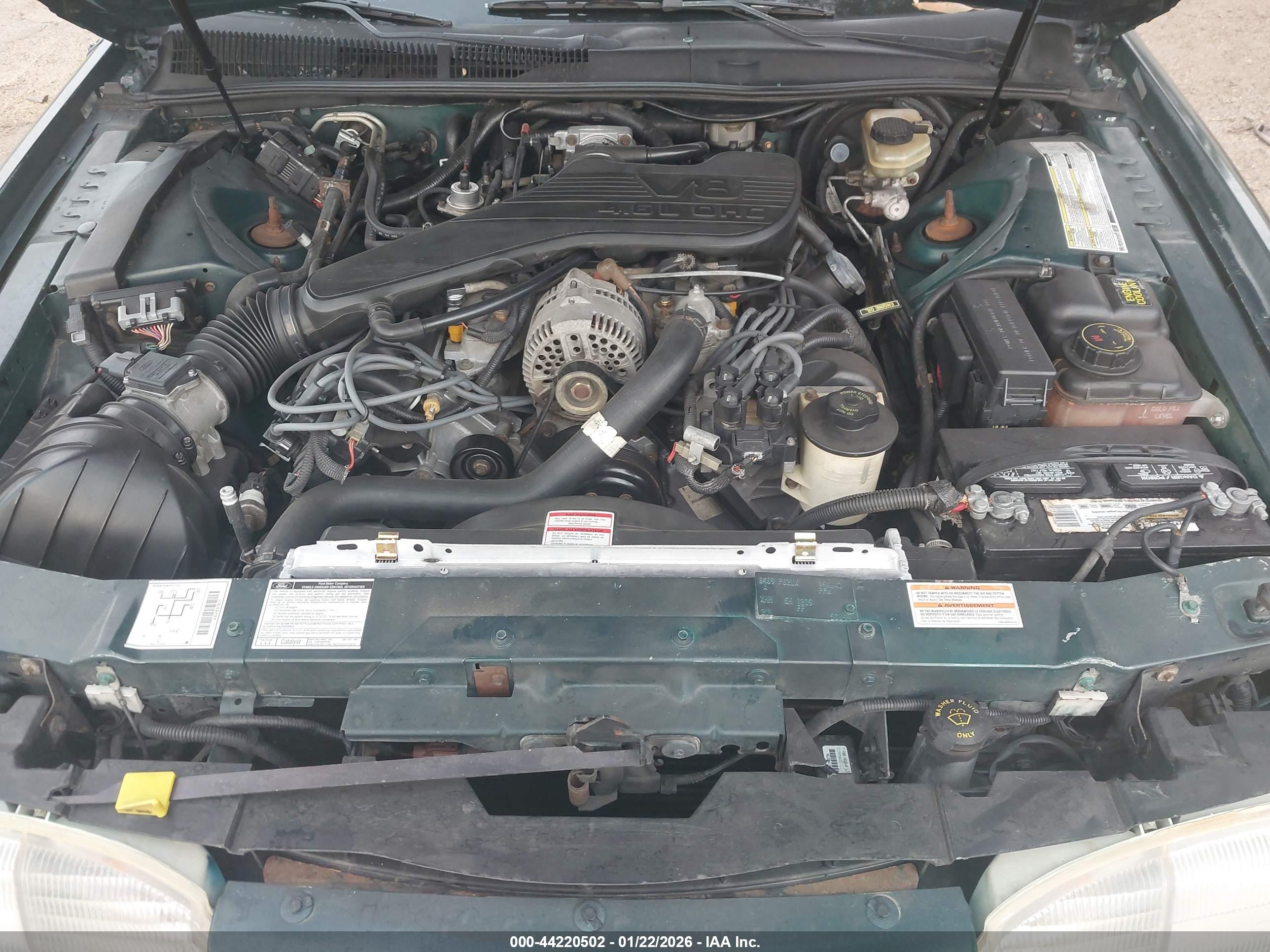 FORD THUNDERBIRD image 10