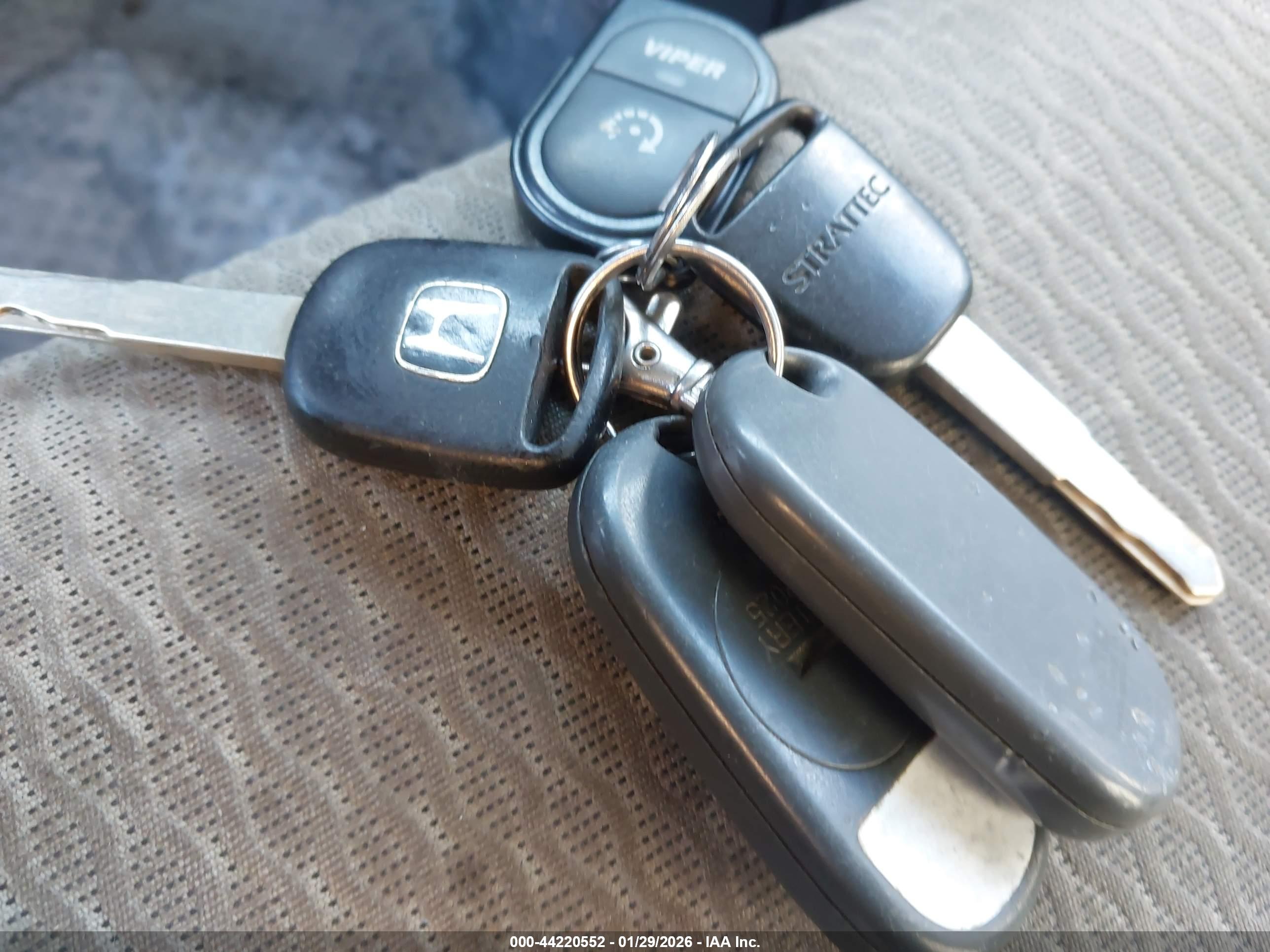HONDA ELEMENT image 11