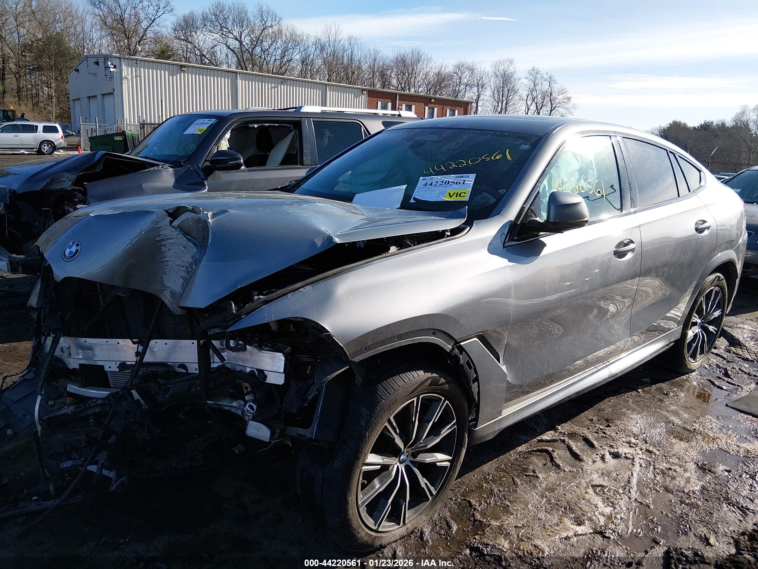 BMW X6 image 2