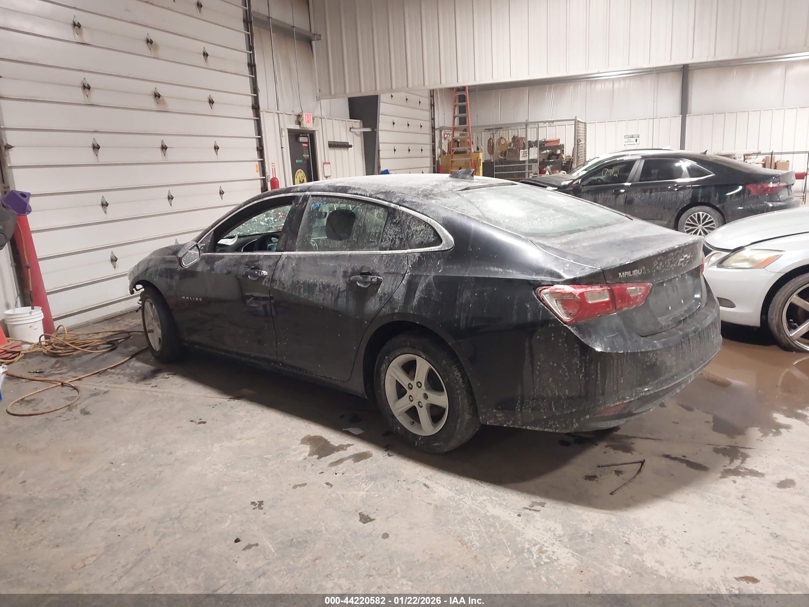 CHEVROLET MALIBU image 3