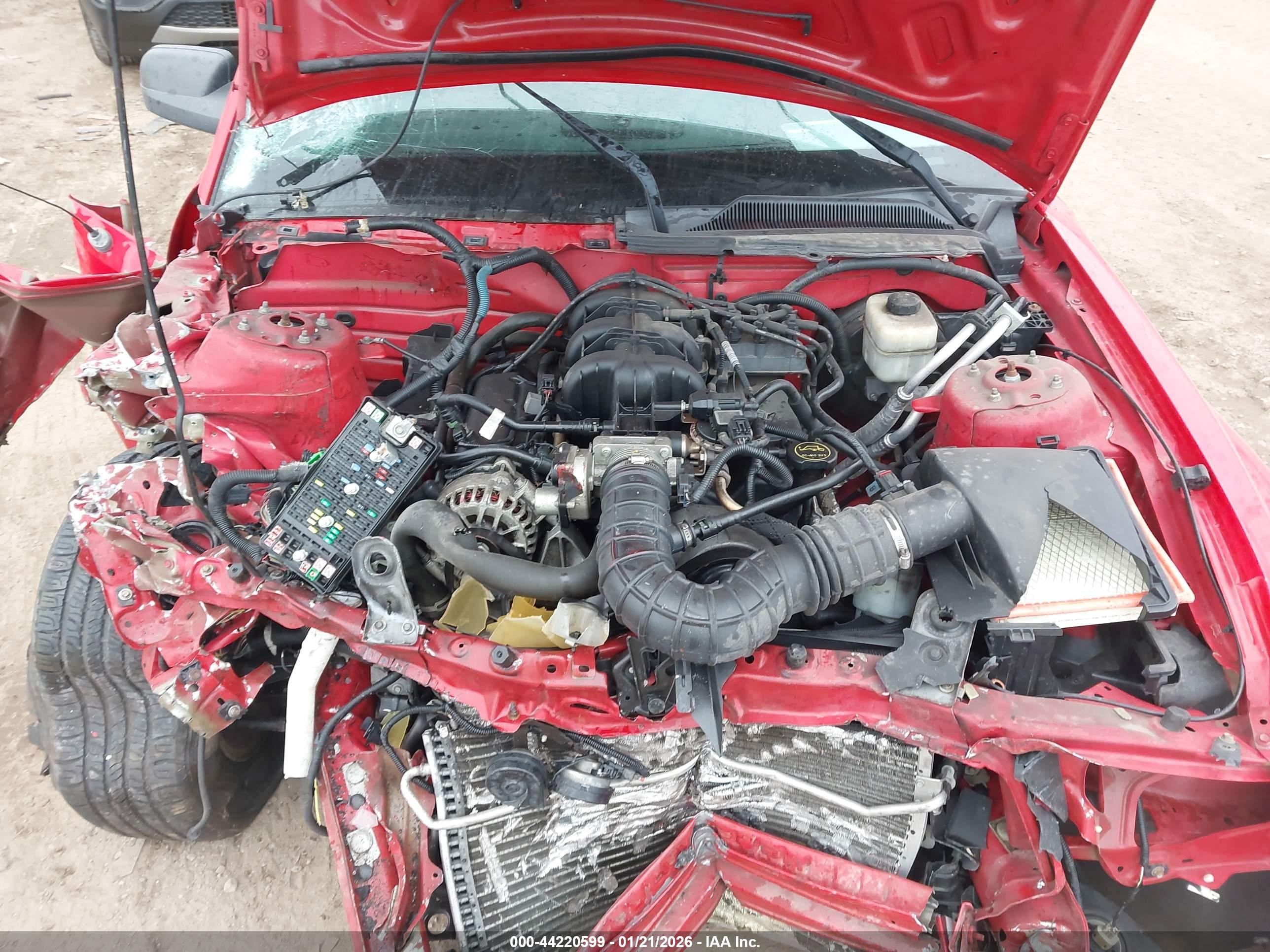 FORD MUSTANG image 10