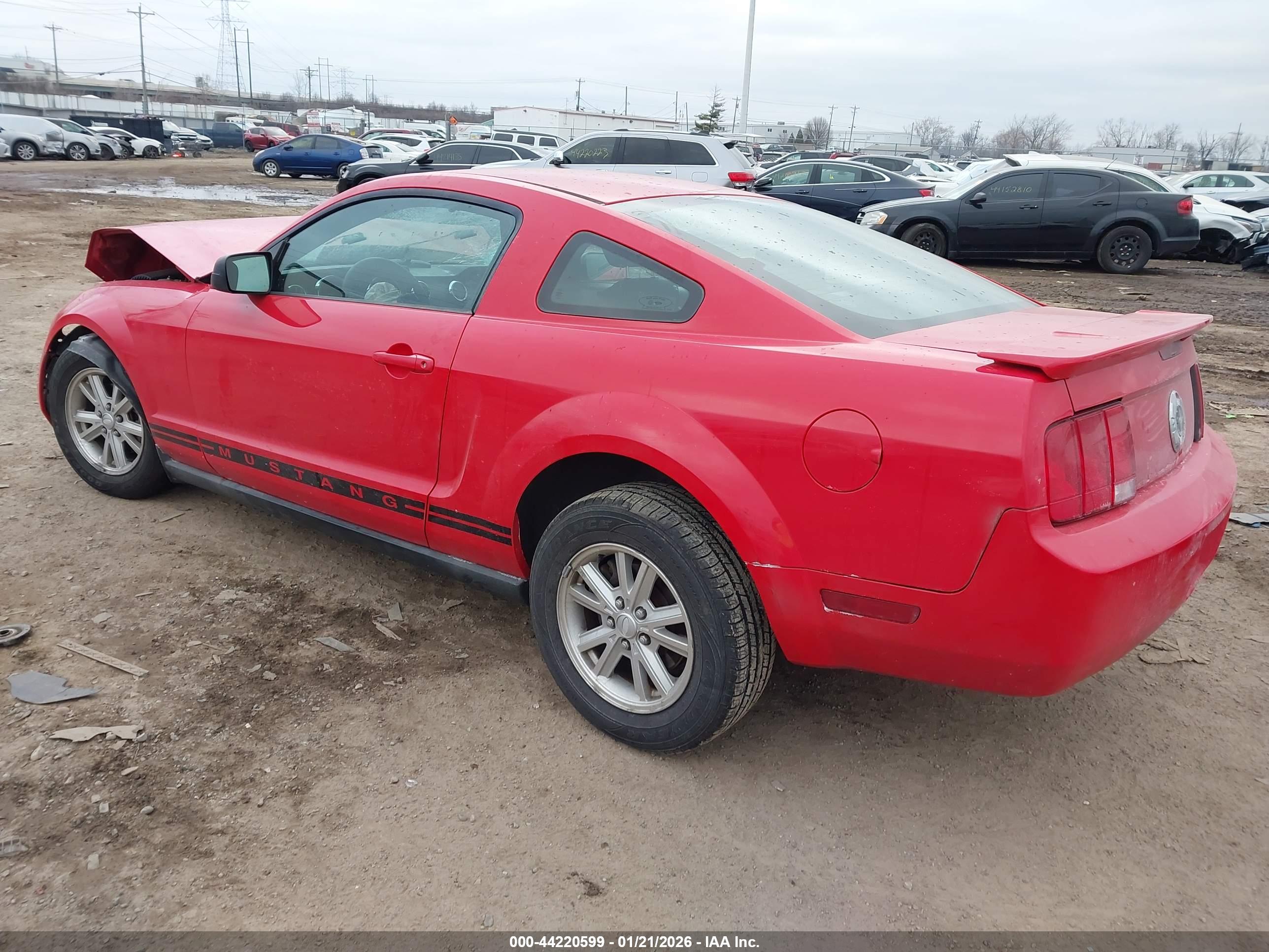FORD MUSTANG image 3
