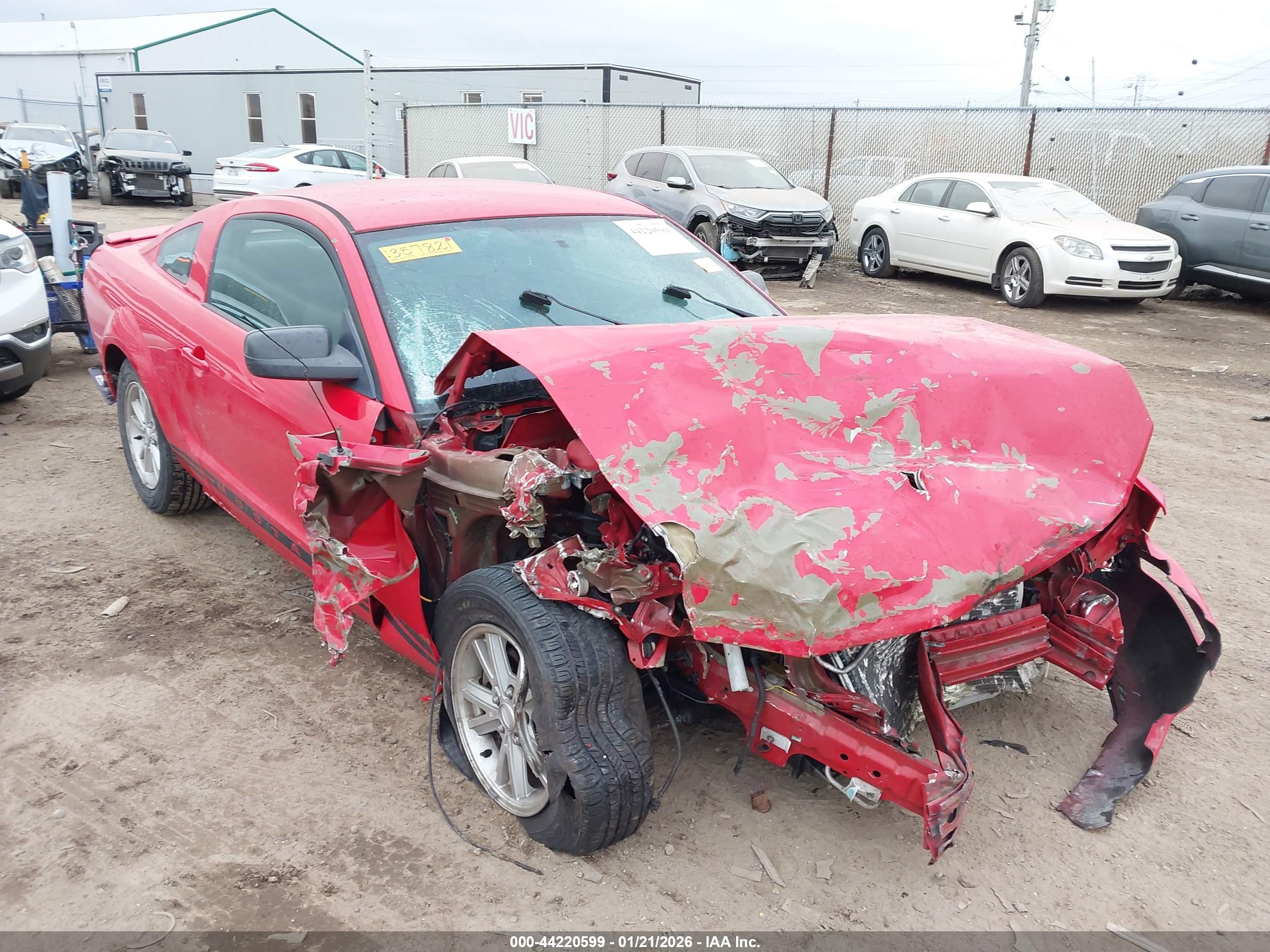 FORD MUSTANG image 6