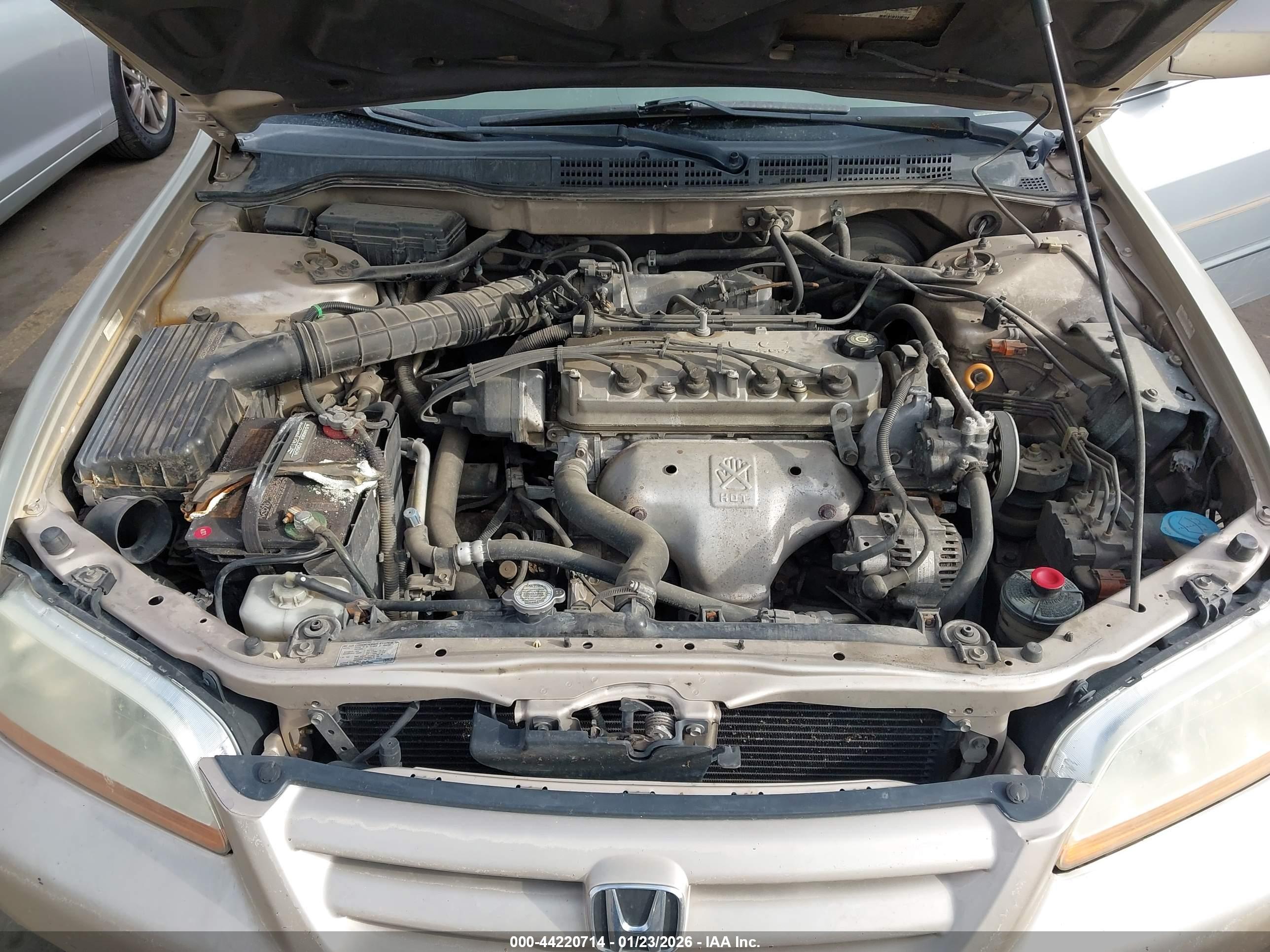 HONDA ACCORD image 10