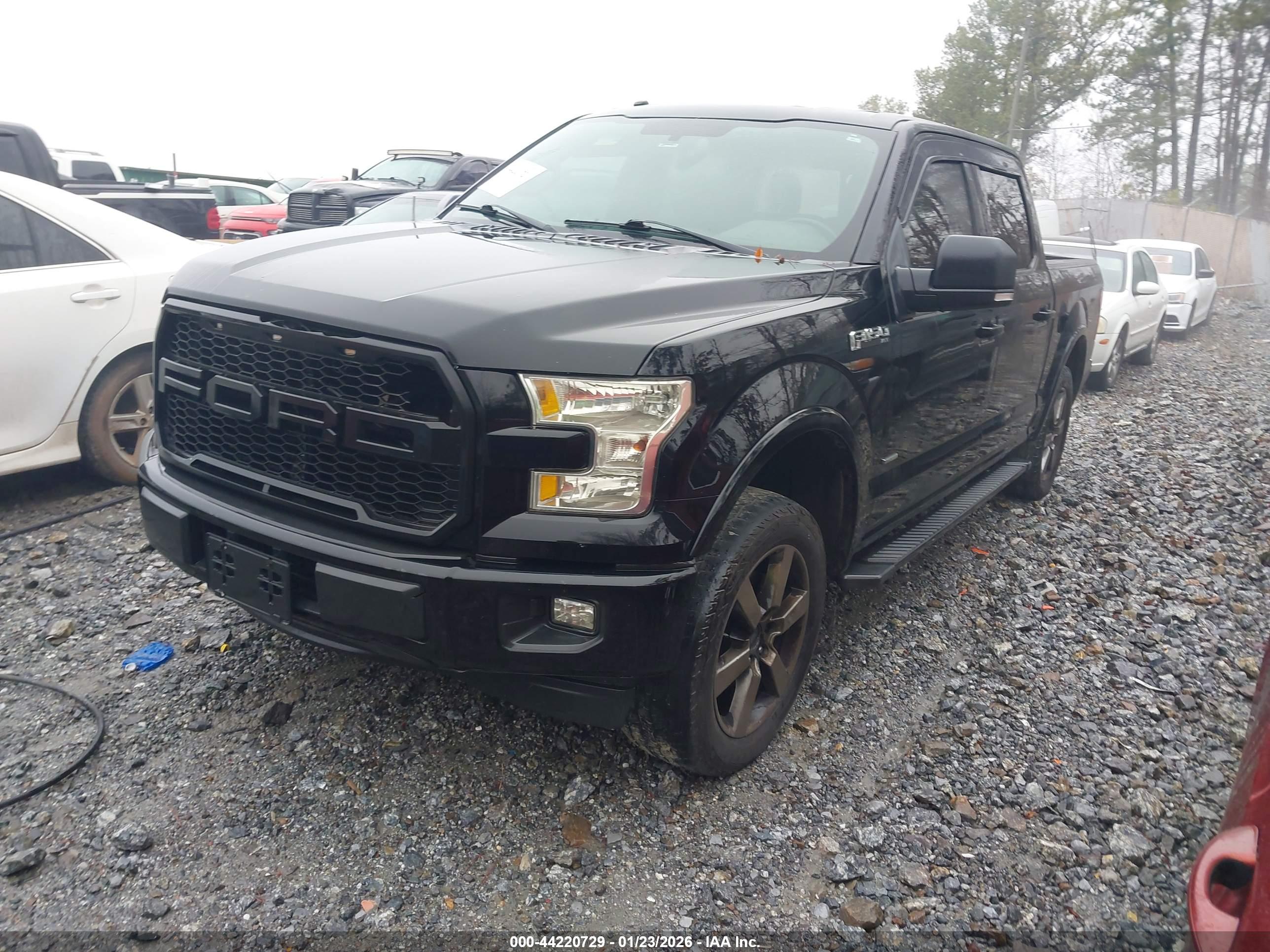 FORD F-150 image 2