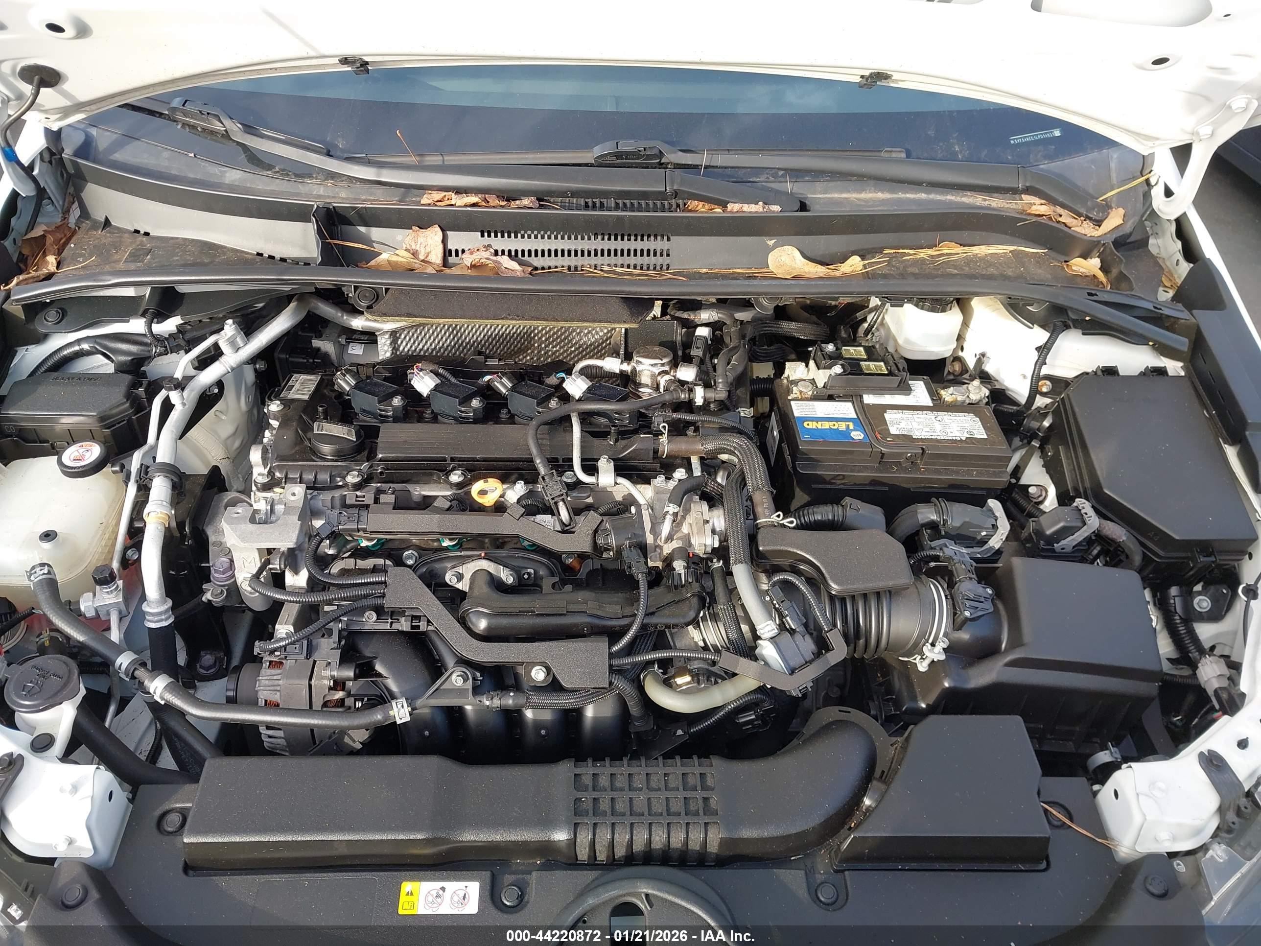 TOYOTA COROLLA image 10