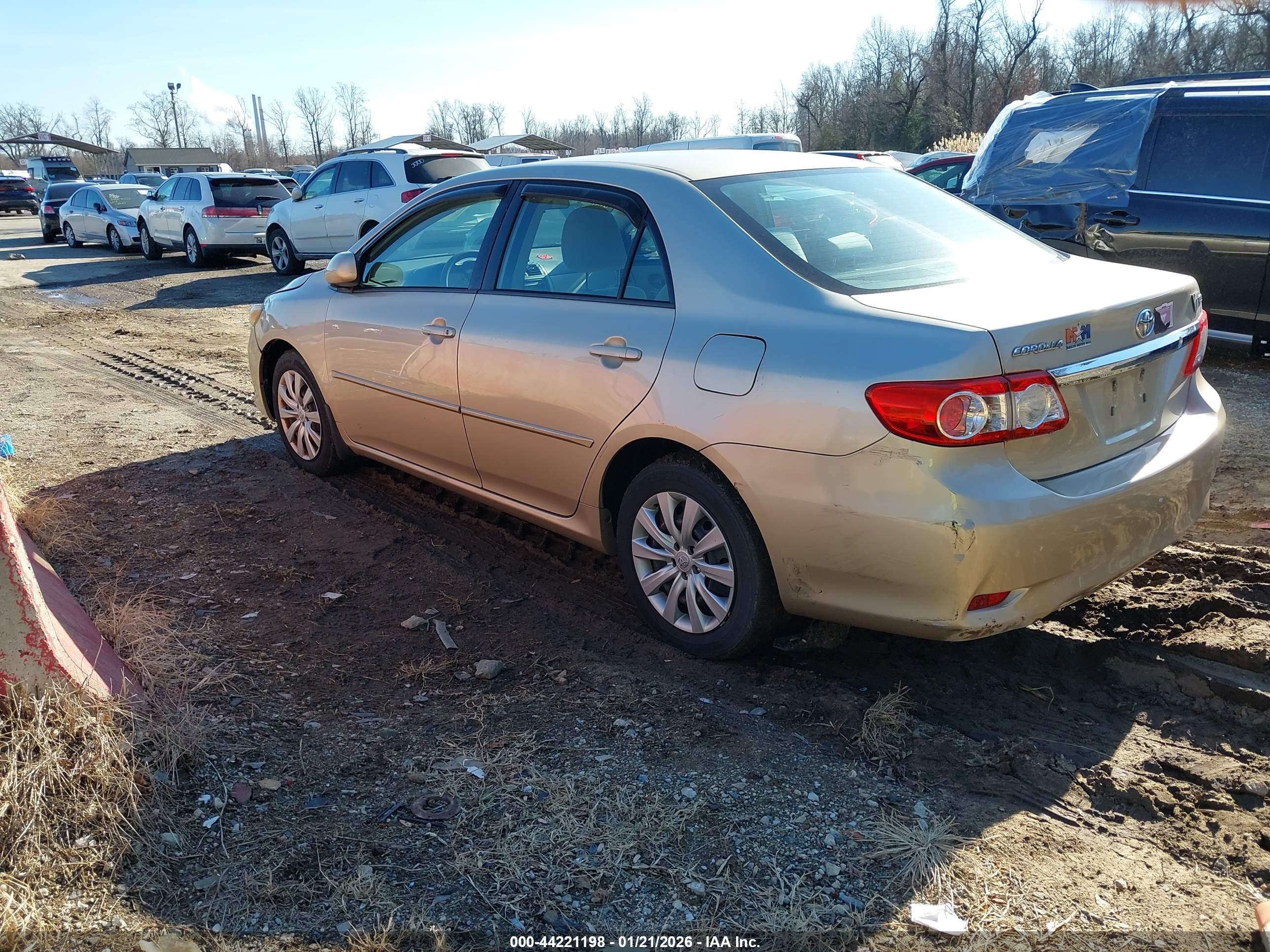 TOYOTA COROLLA image 3