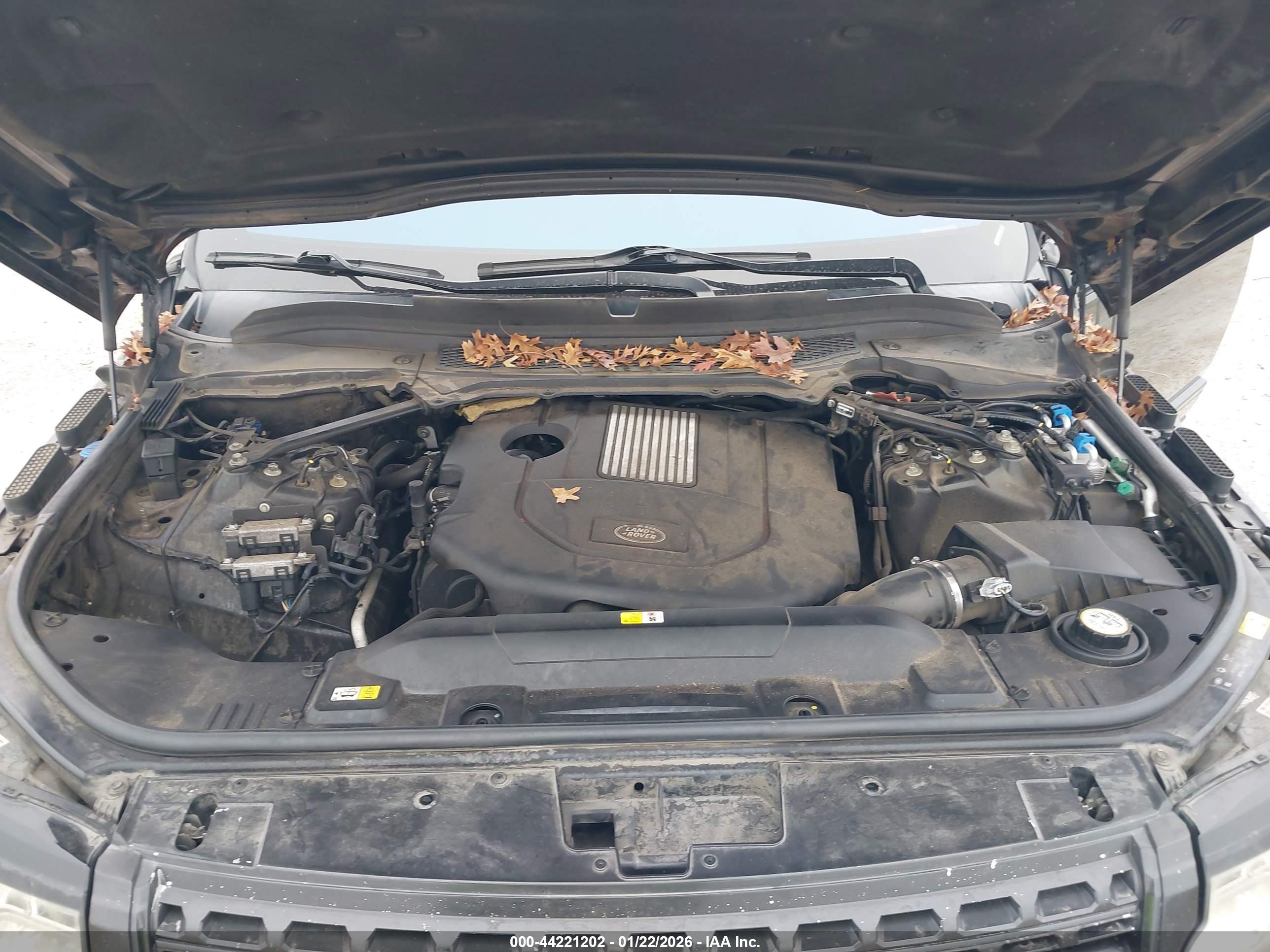 LAND ROVER image 10