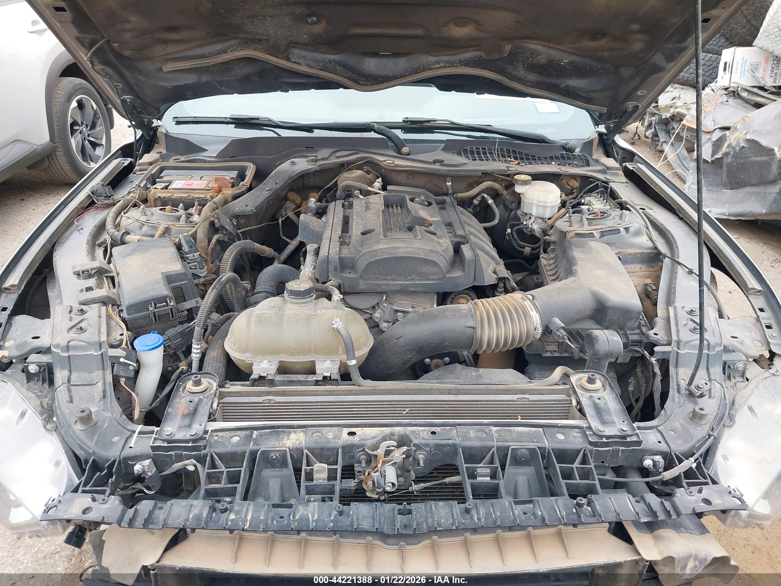 FORD MUSTANG image 10