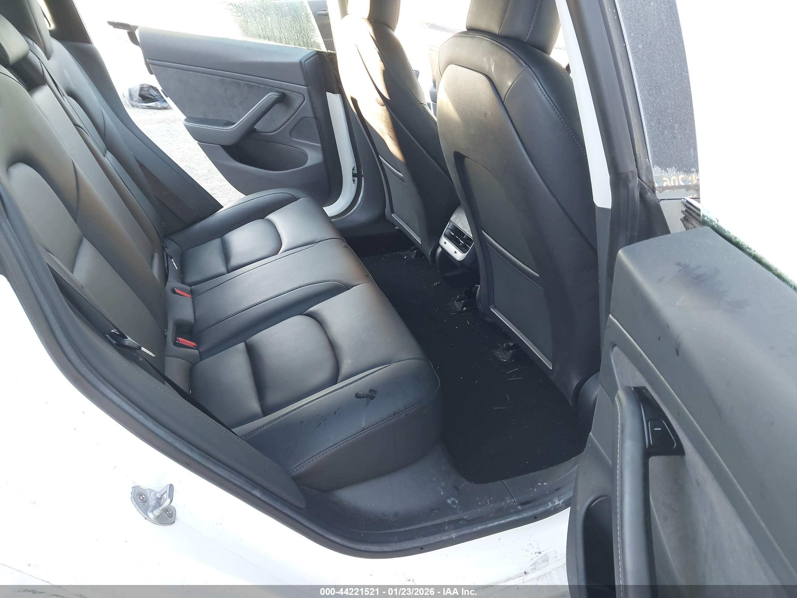 TESLA MODEL image 8