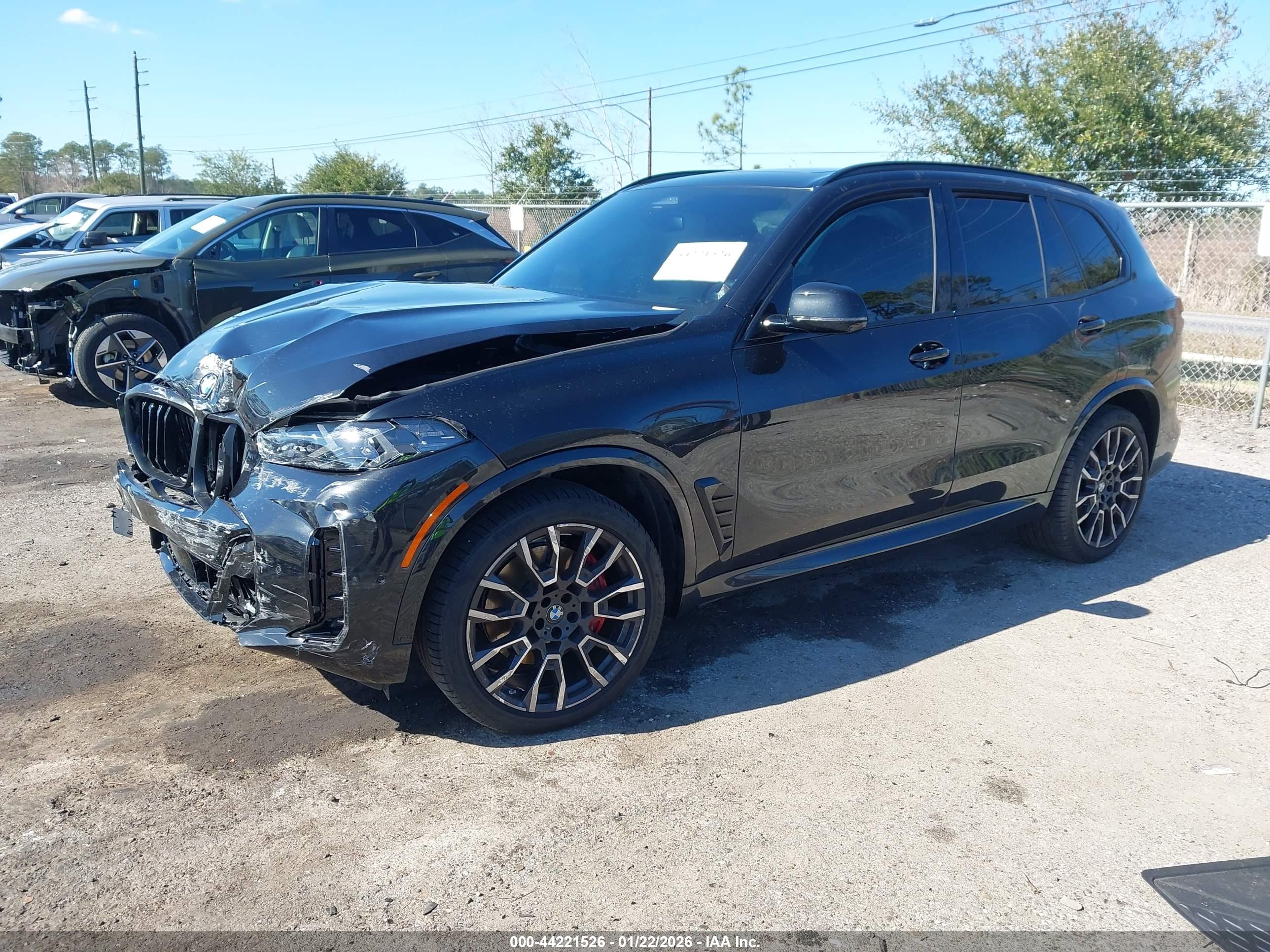 BMW X5 image 2