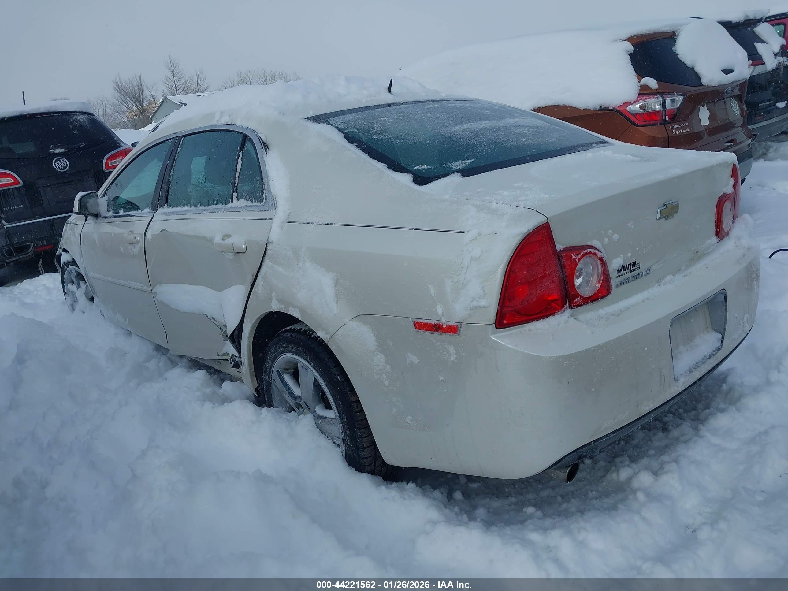 CHEVROLET MALIBU image 3