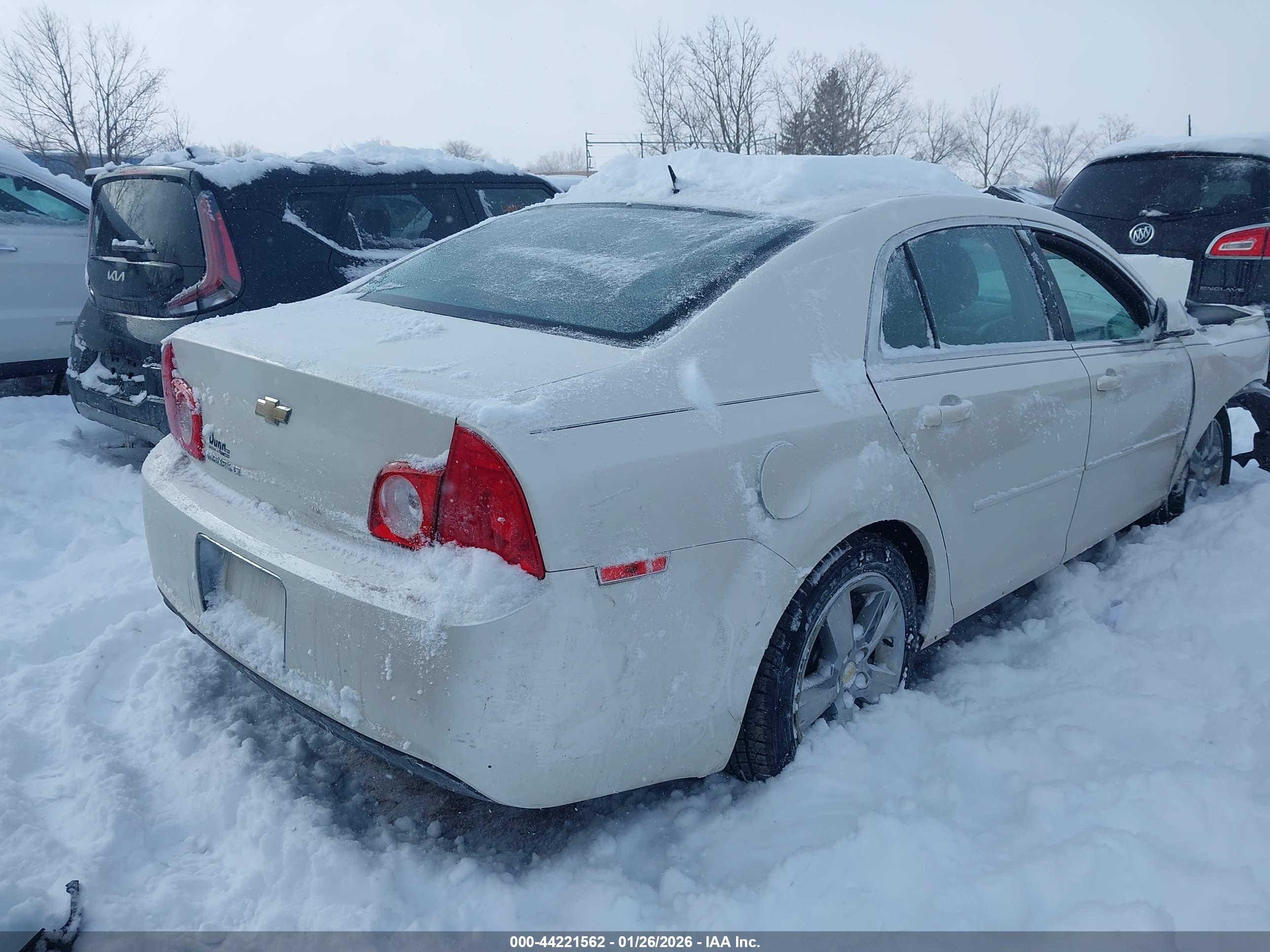 CHEVROLET MALIBU image 4