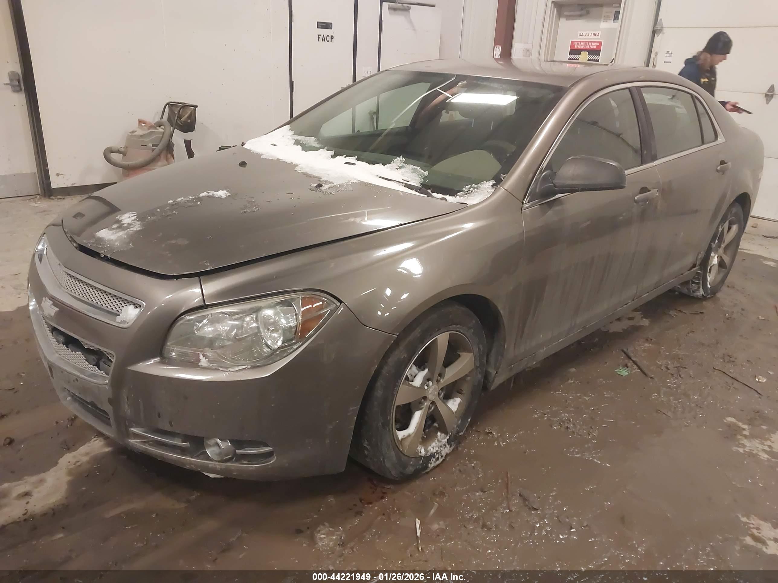 CHEVROLET MALIBU image 2