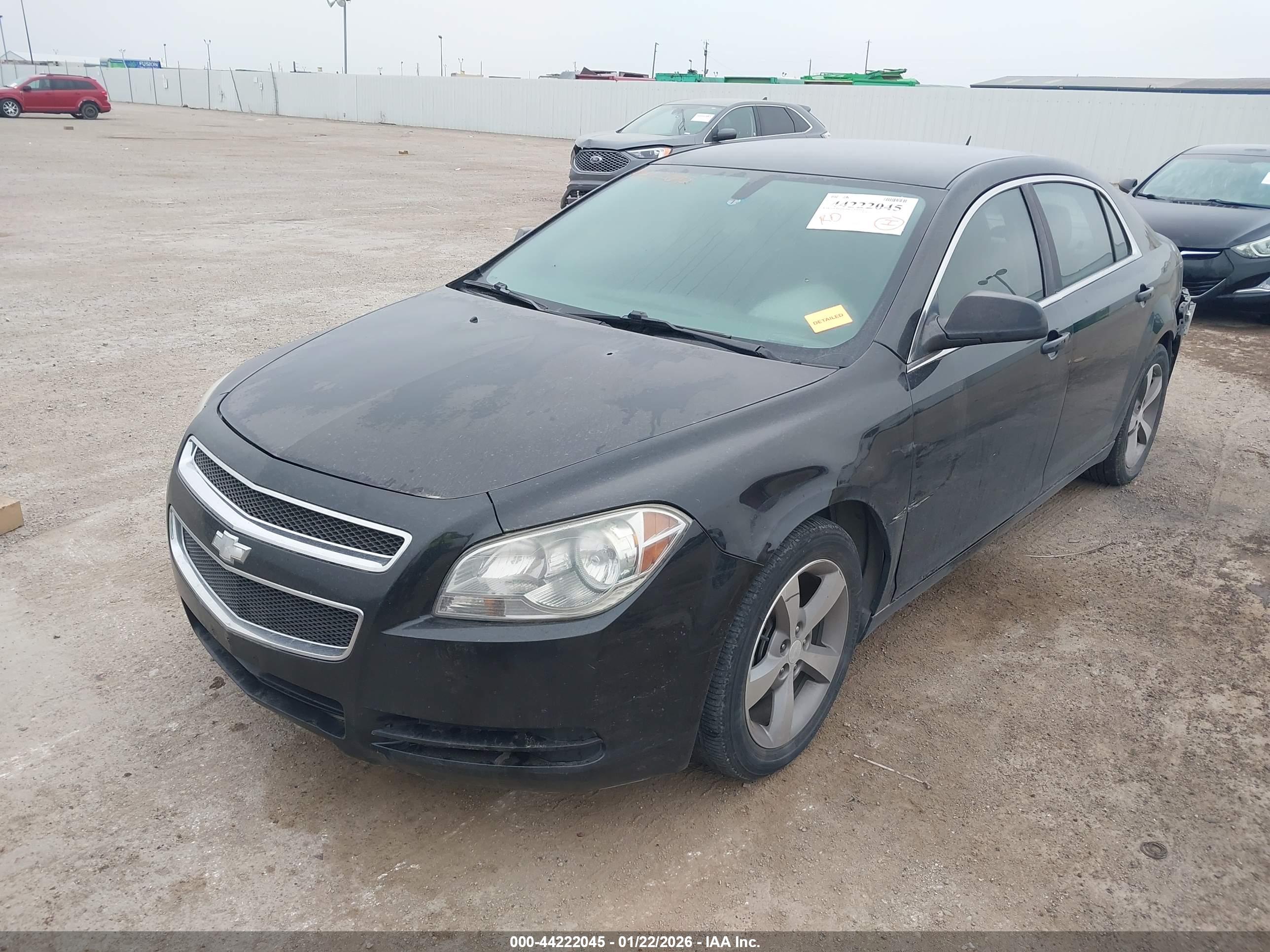 CHEVROLET MALIBU image 2