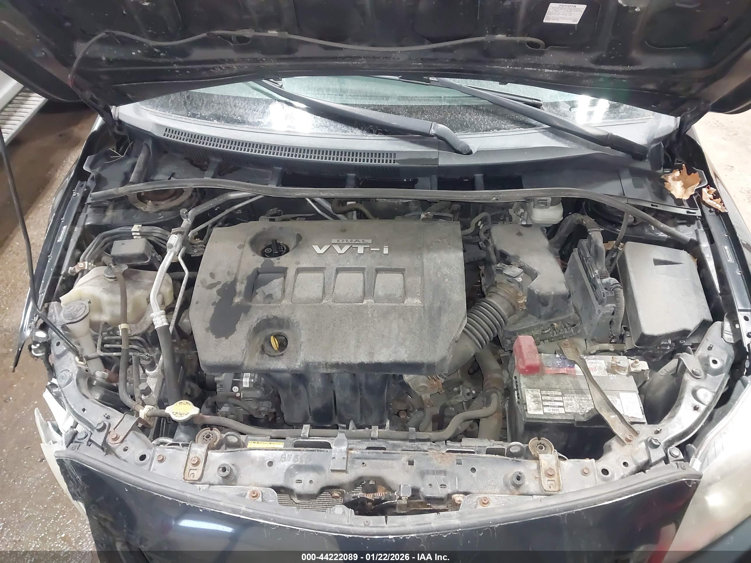 TOYOTA COROLLA image 10