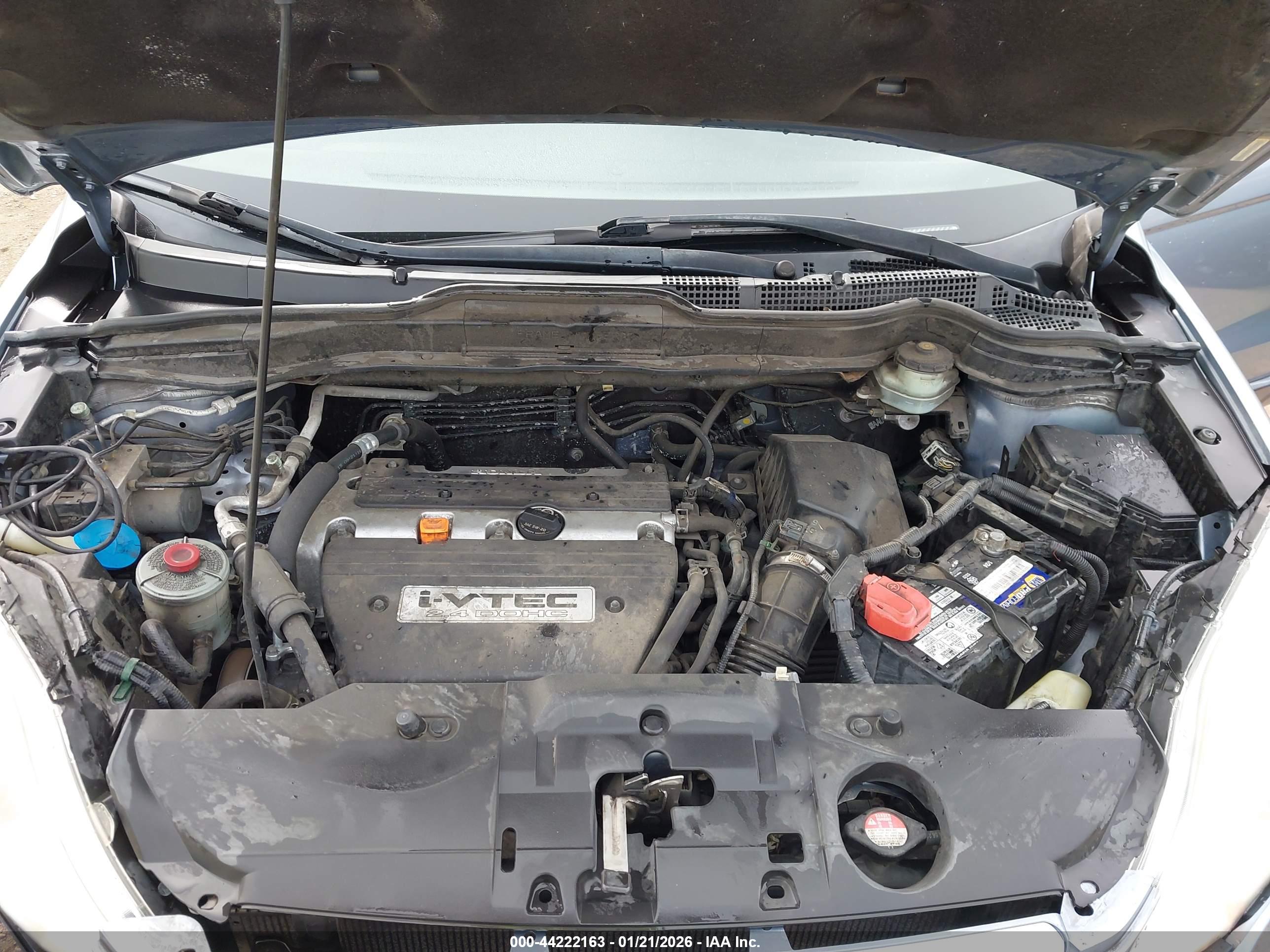 HONDA CR-V image 10