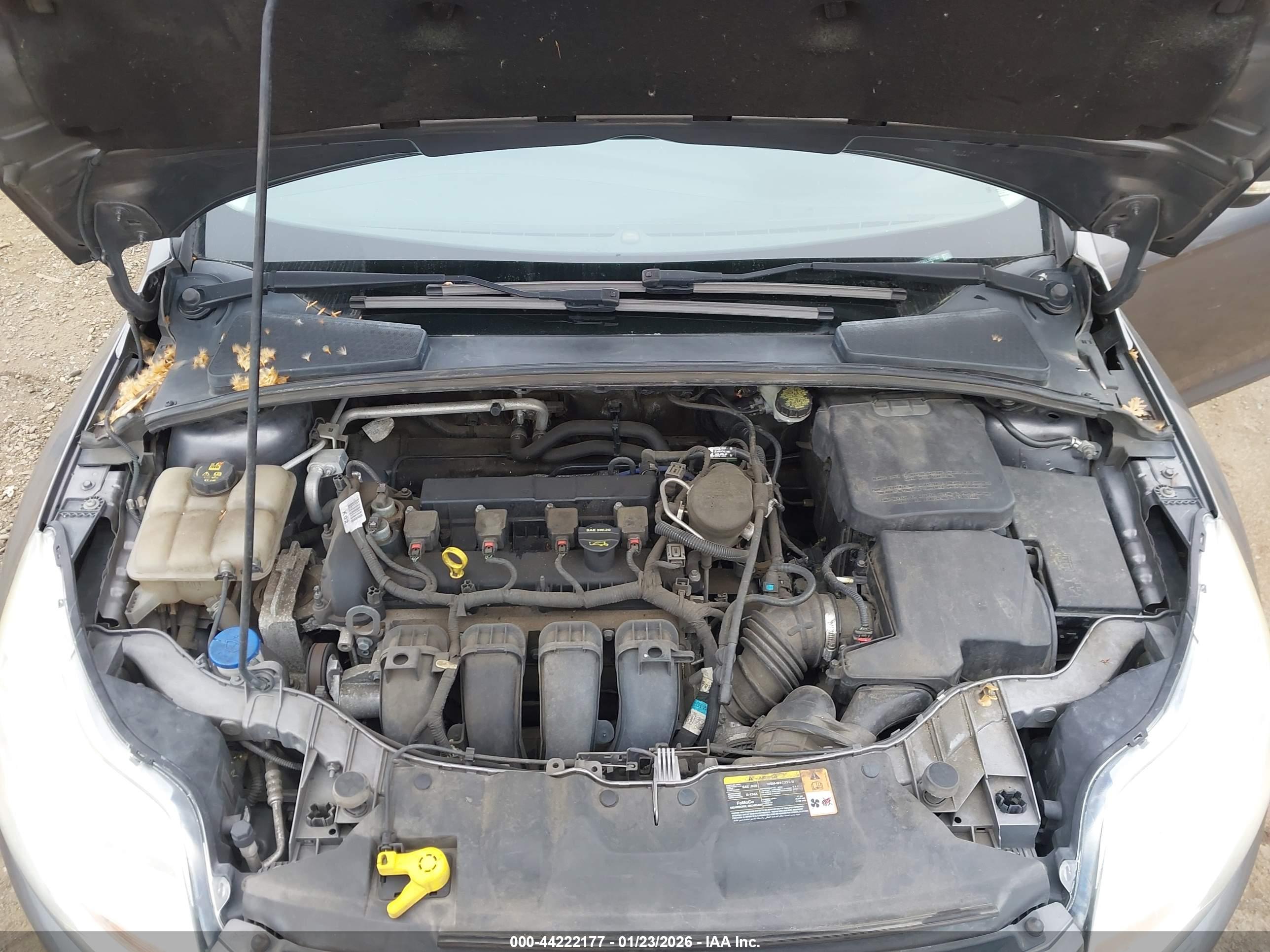 FORD FOCUS image 10