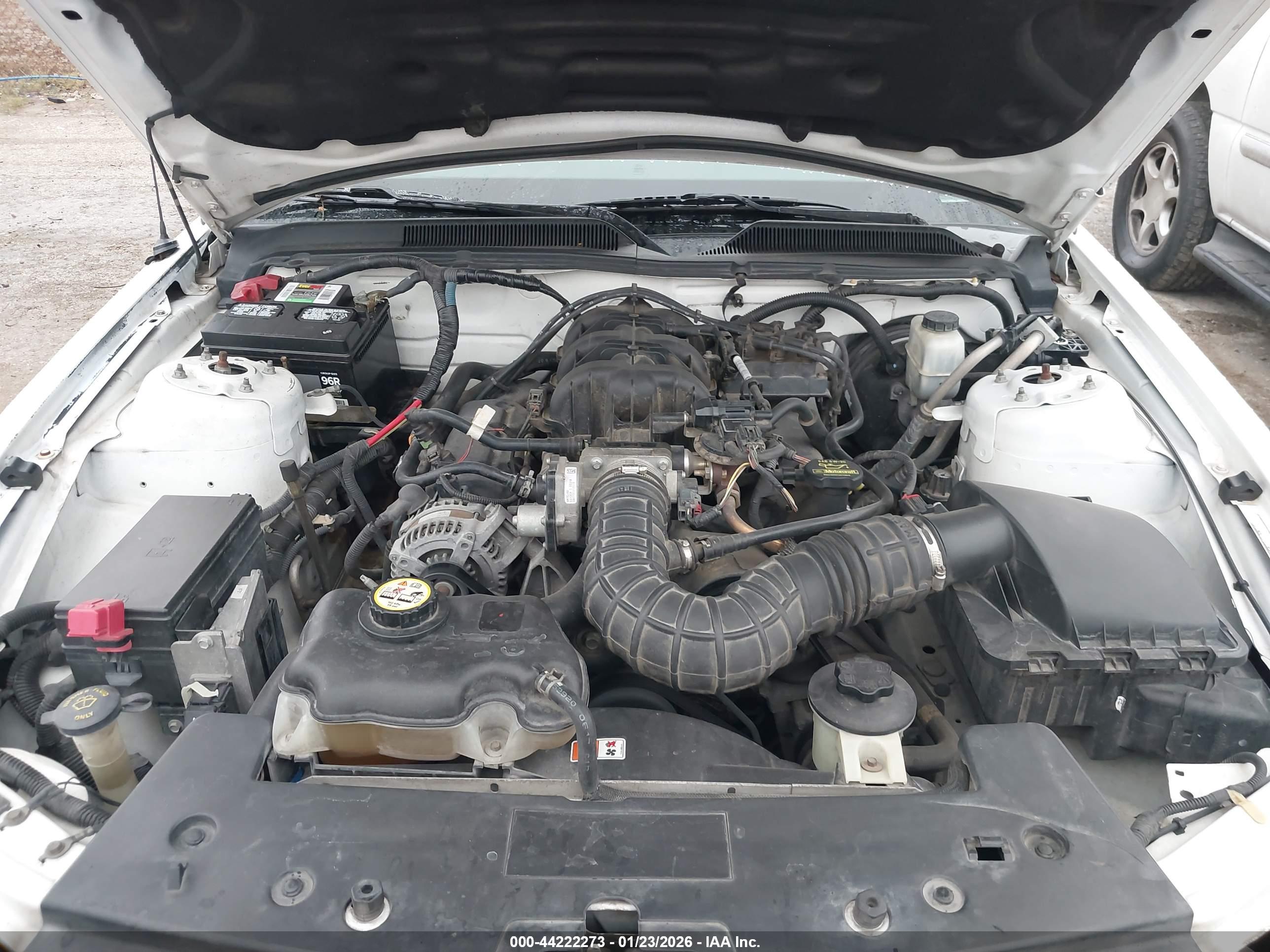 FORD MUSTANG image 10