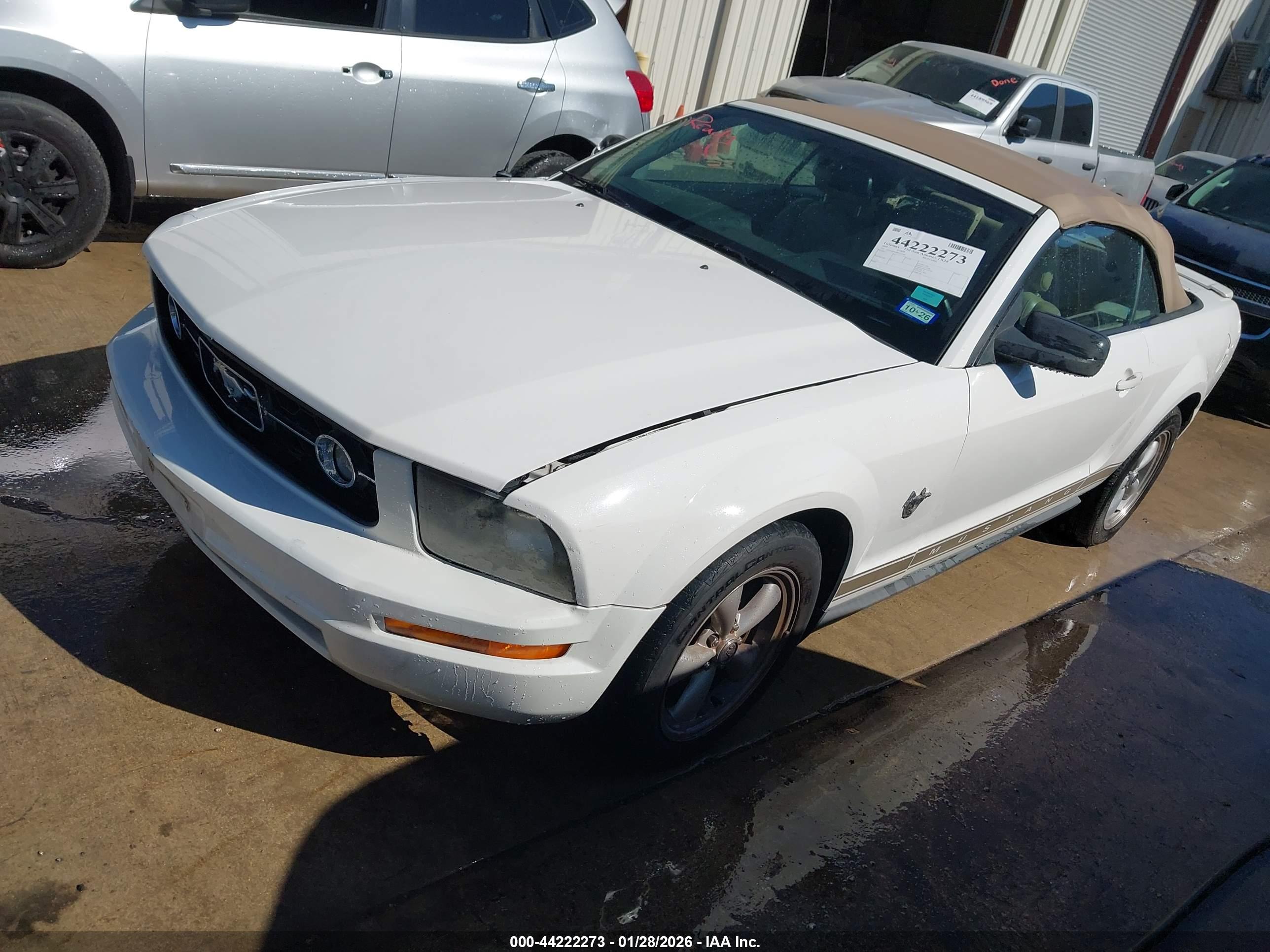 FORD MUSTANG image 2