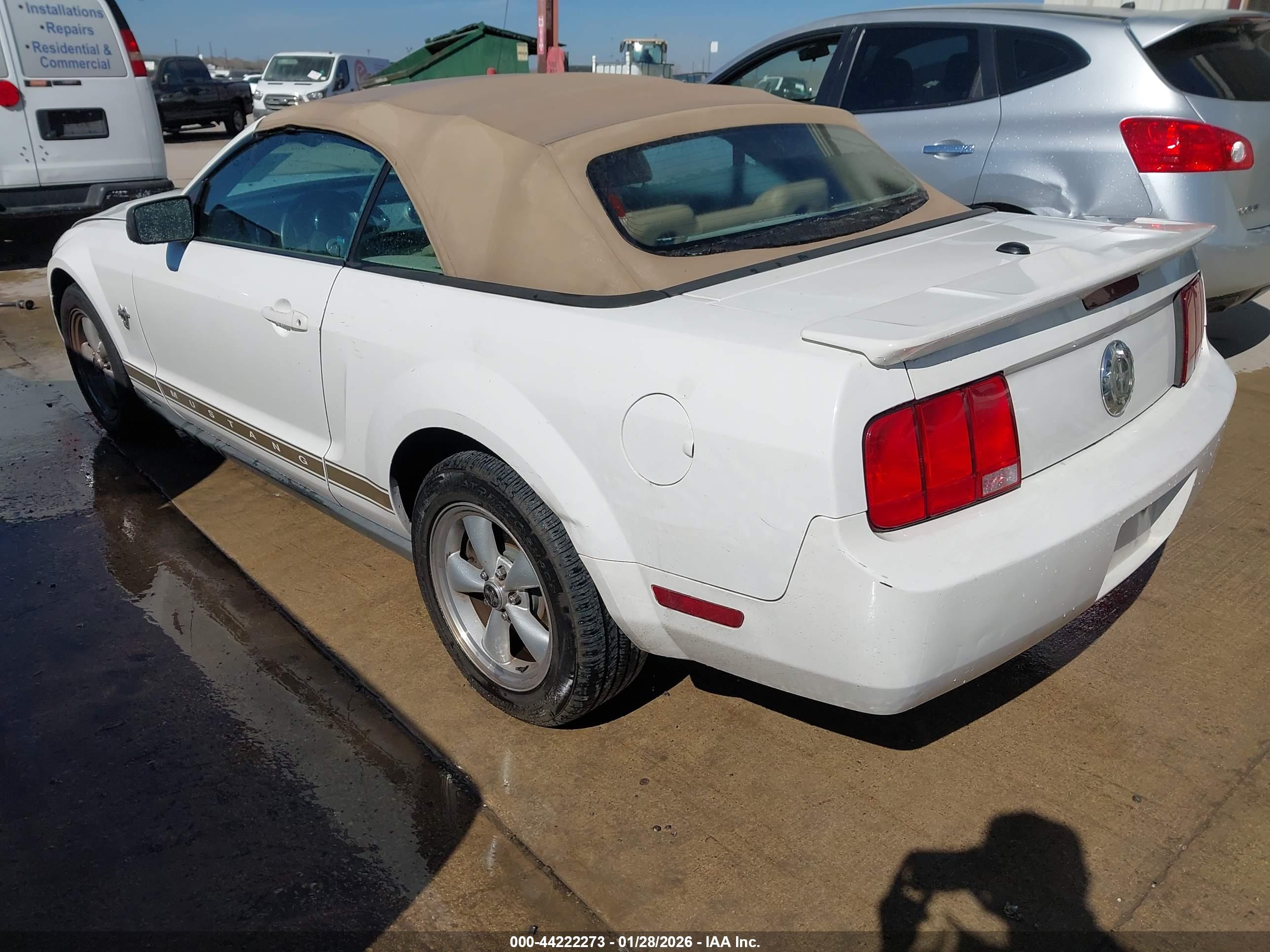 FORD MUSTANG image 3