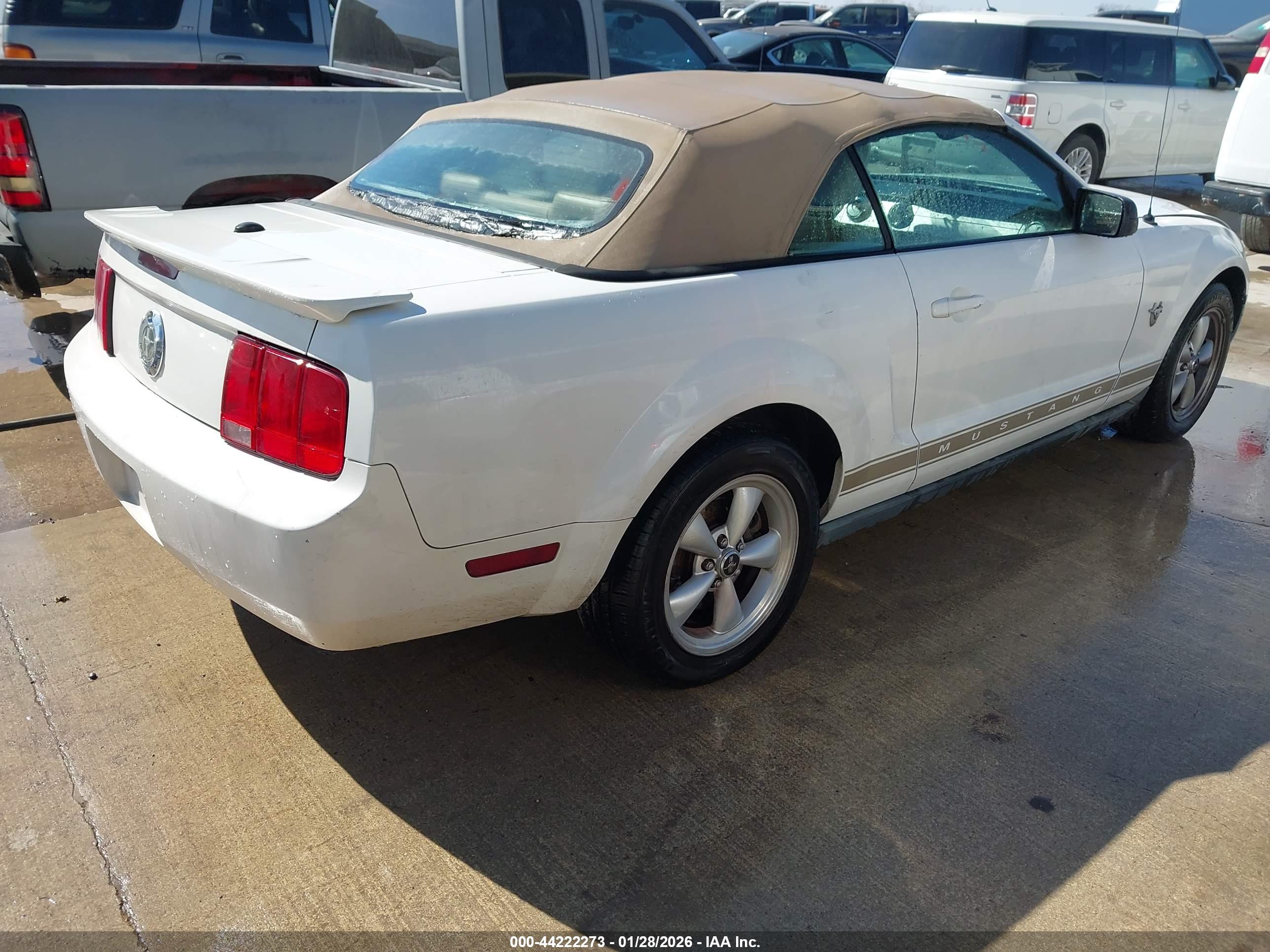 FORD MUSTANG image 4