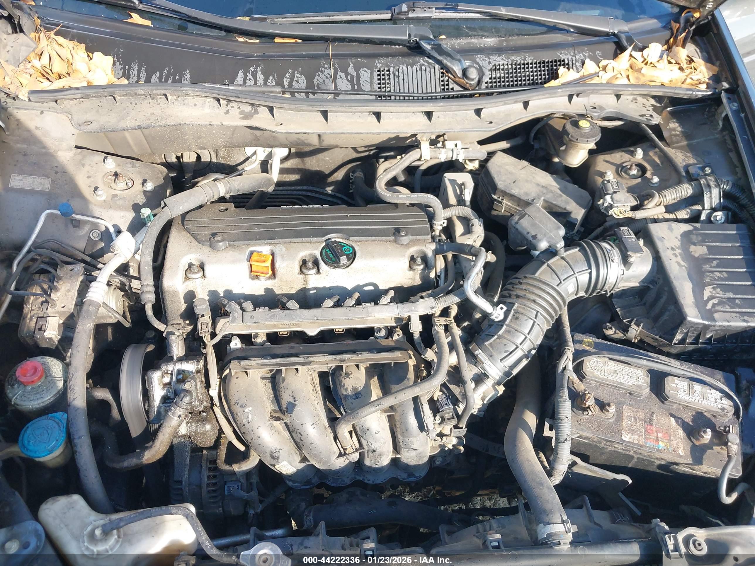 HONDA ACCORD image 10