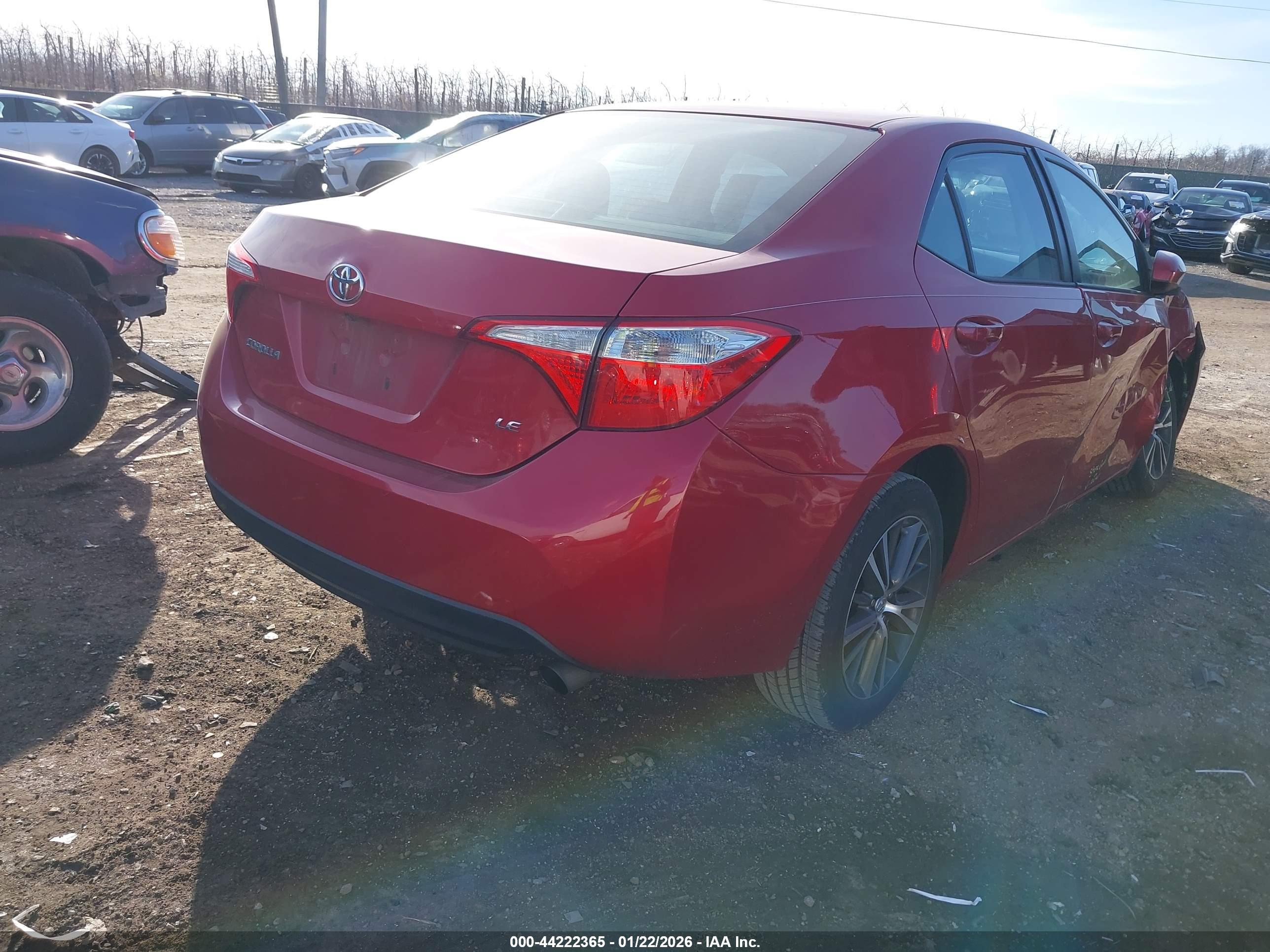 TOYOTA COROLLA image 4