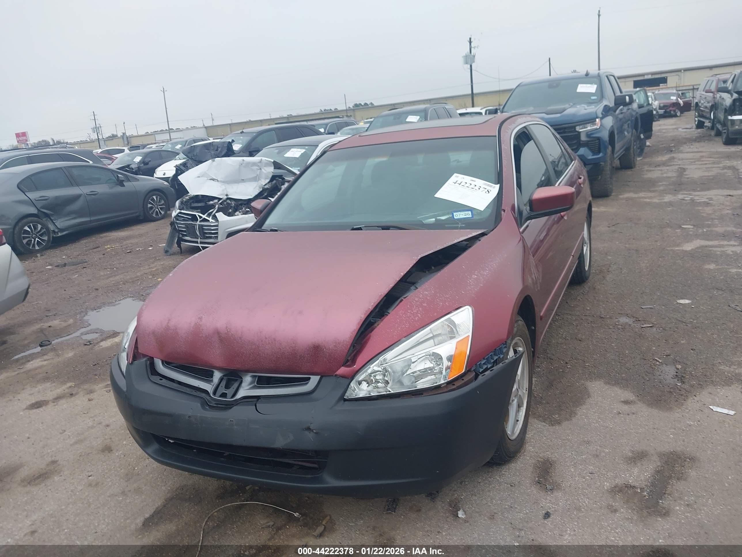 HONDA ACCORD image 6
