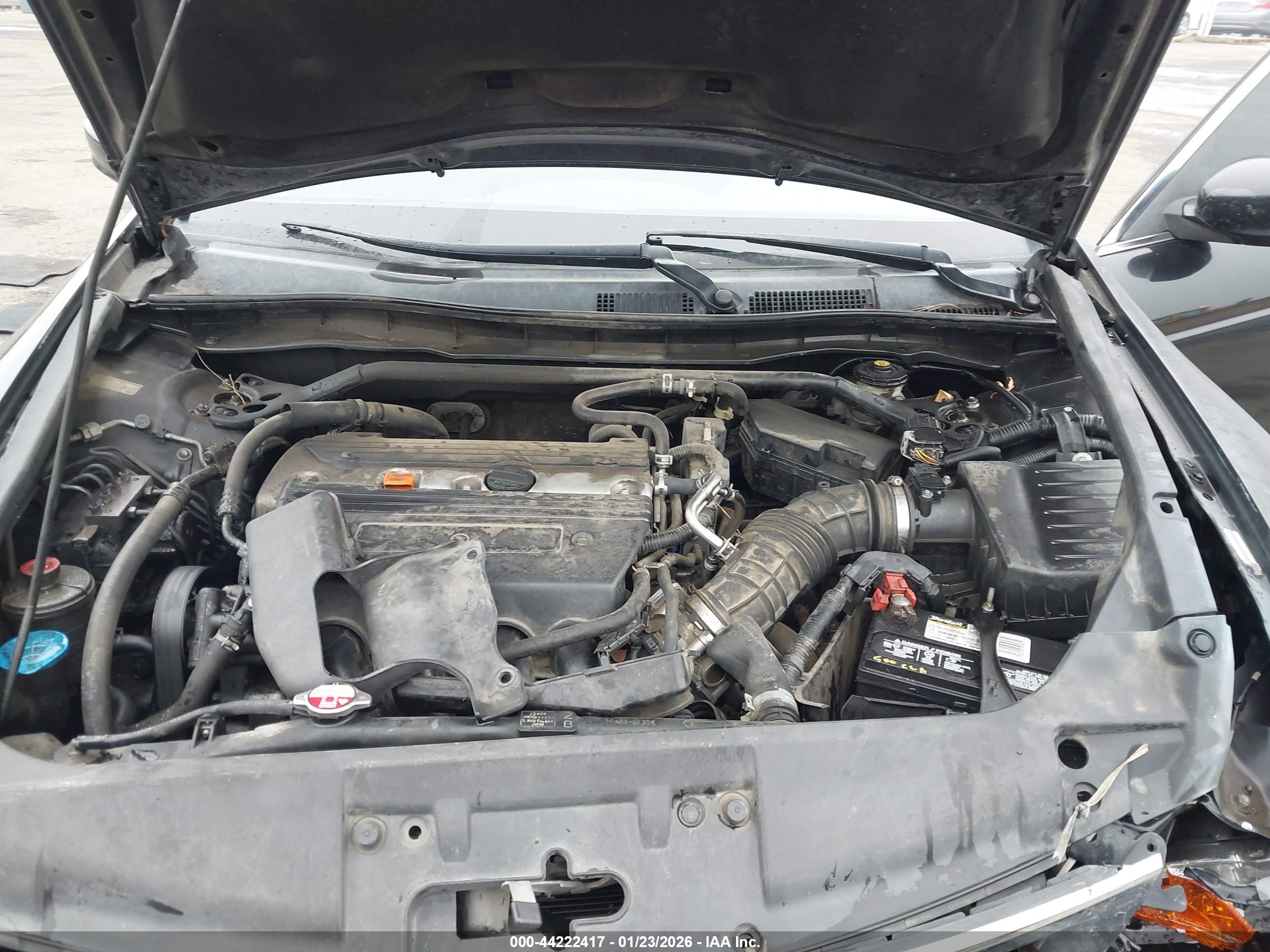 HONDA ACCORD image 10
