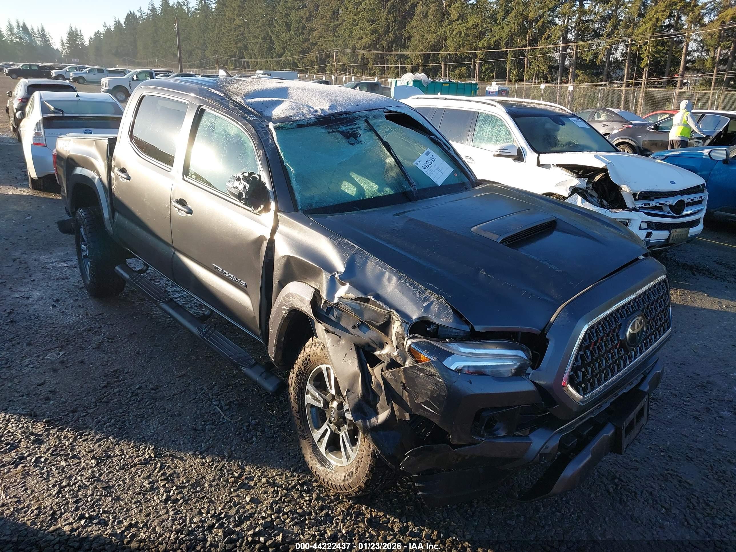 TOYOTA TACOMA image 6