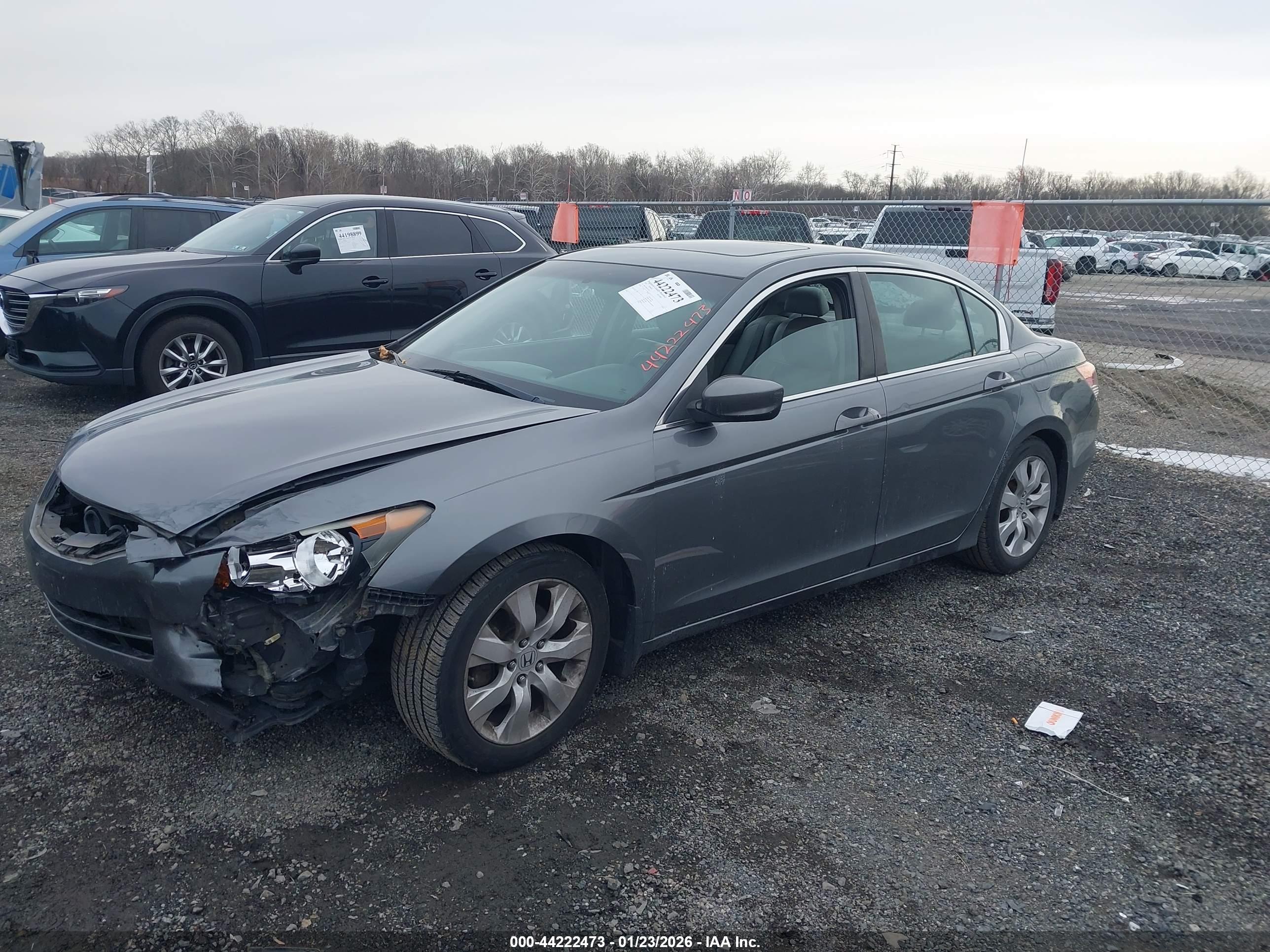 HONDA ACCORD image 2