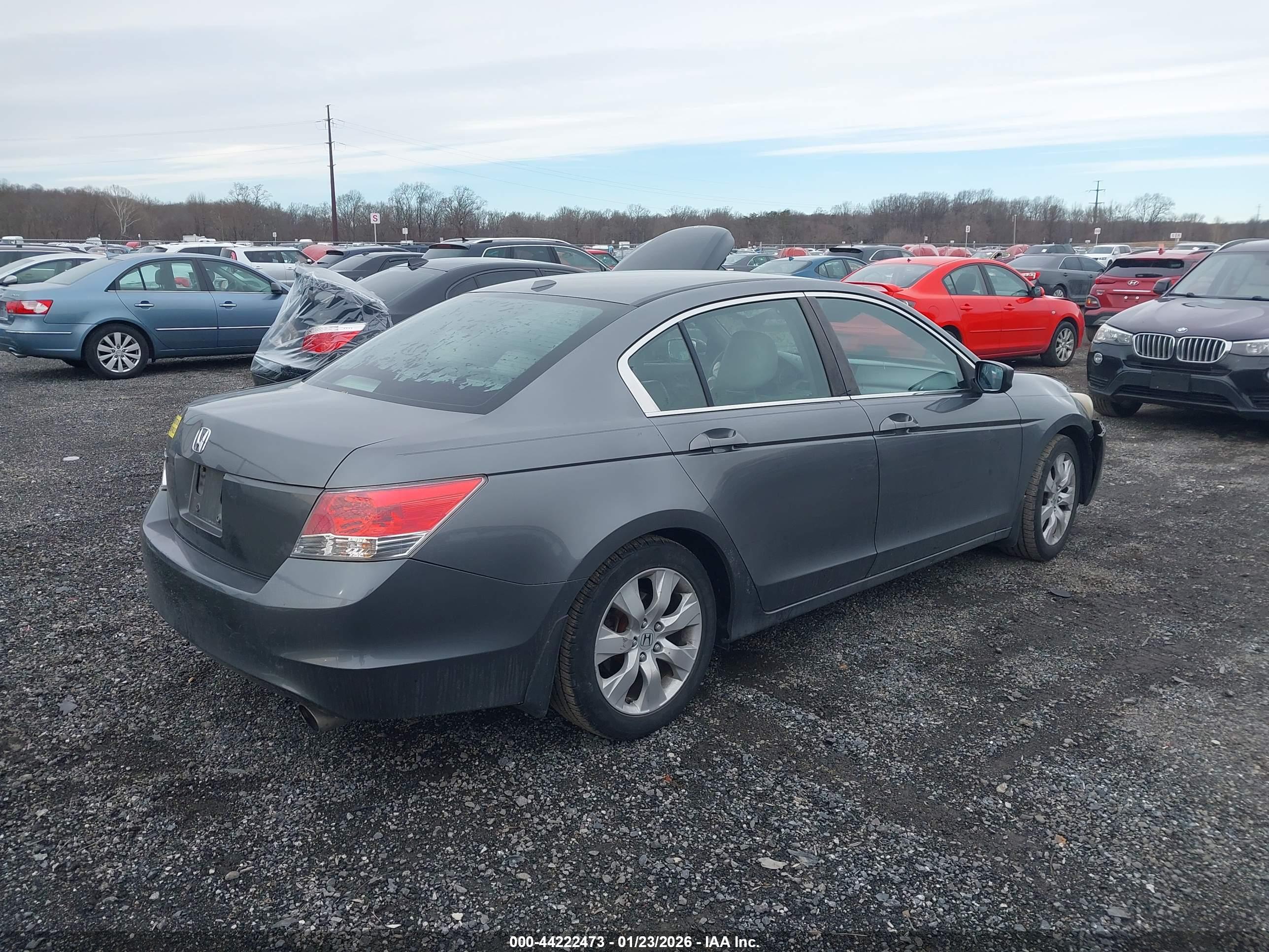 HONDA ACCORD image 4