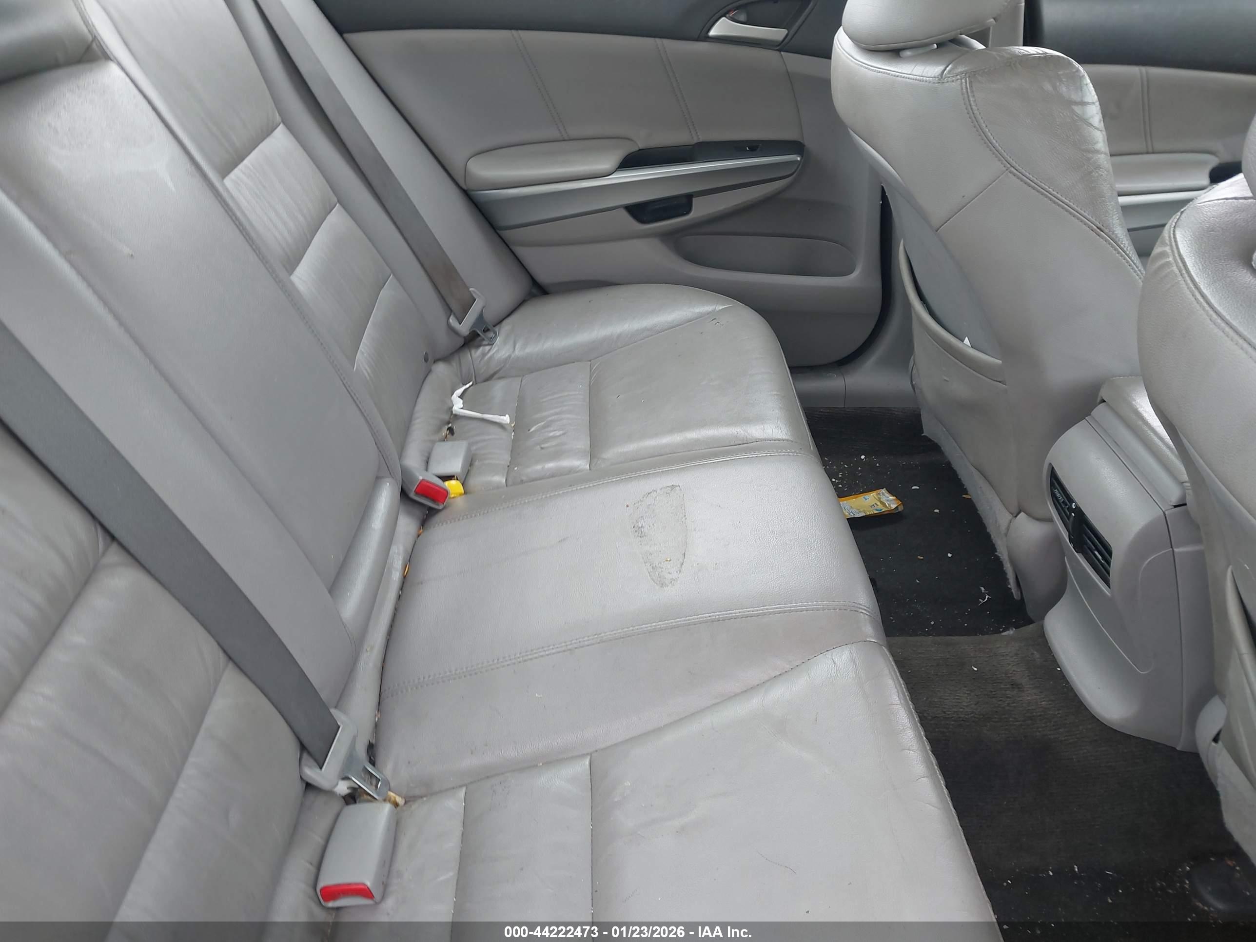 HONDA ACCORD image 8