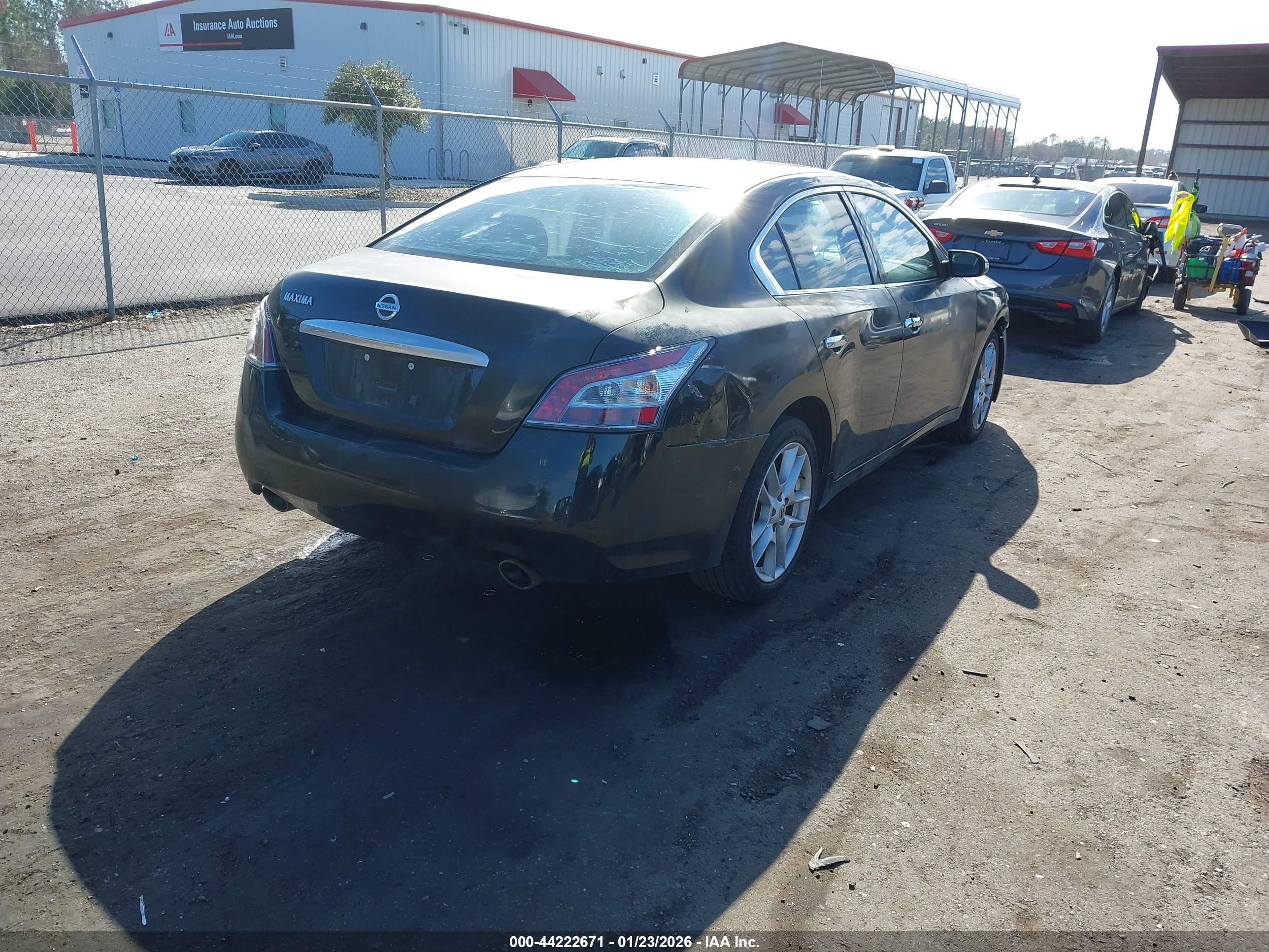 NISSAN MAXIMA image 4