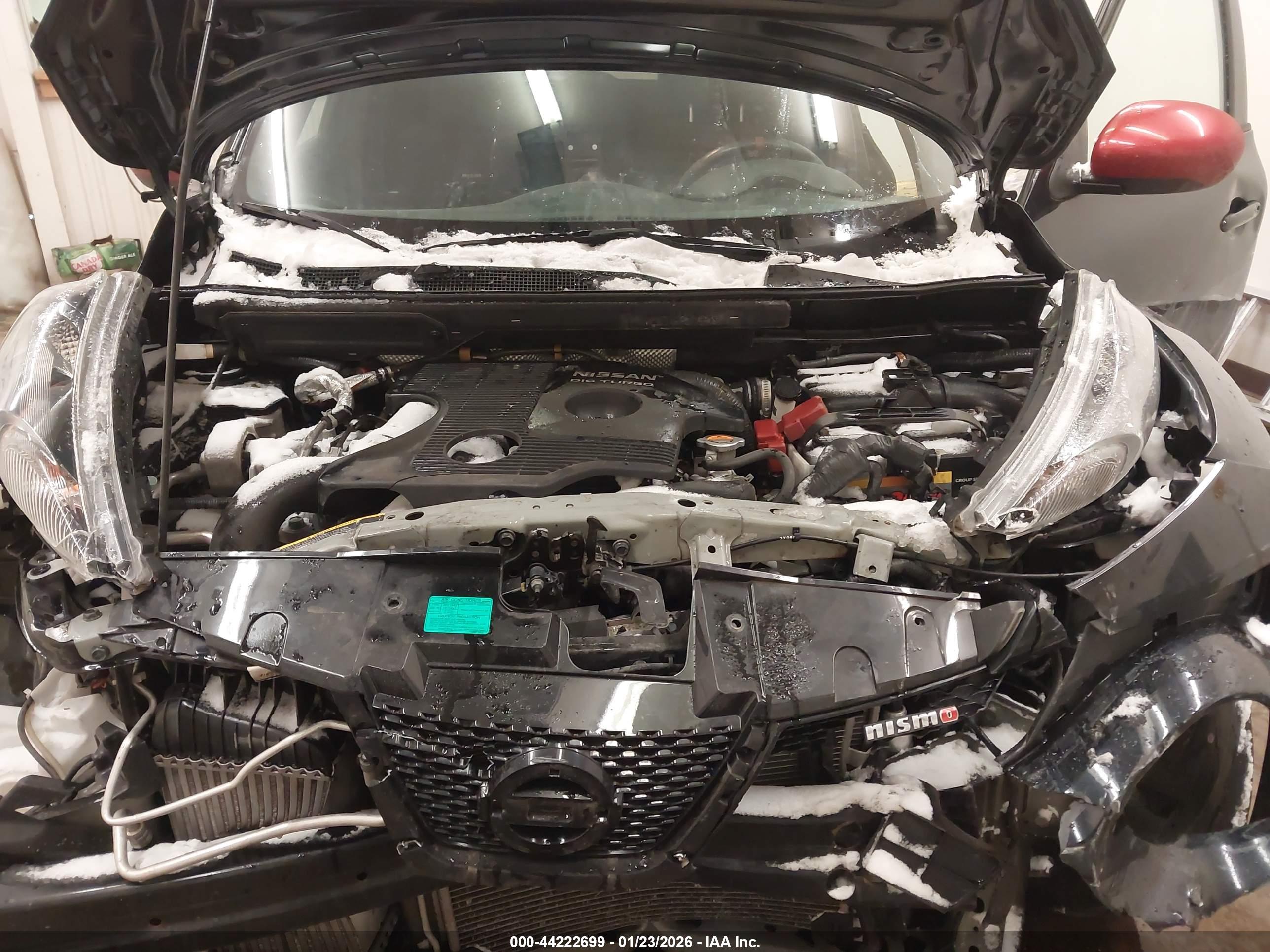 NISSAN JUKE image 10