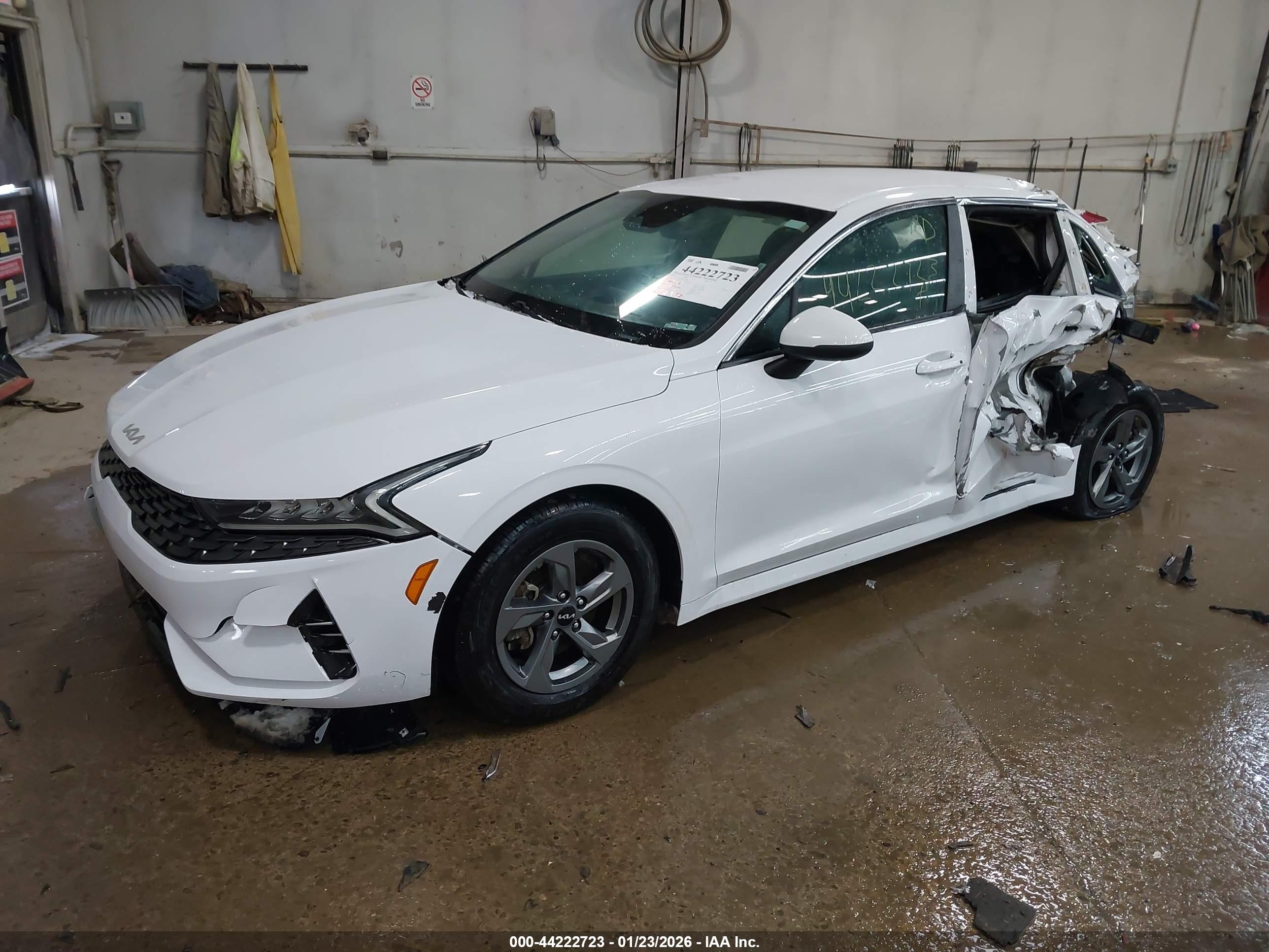 KIA K5 image 2