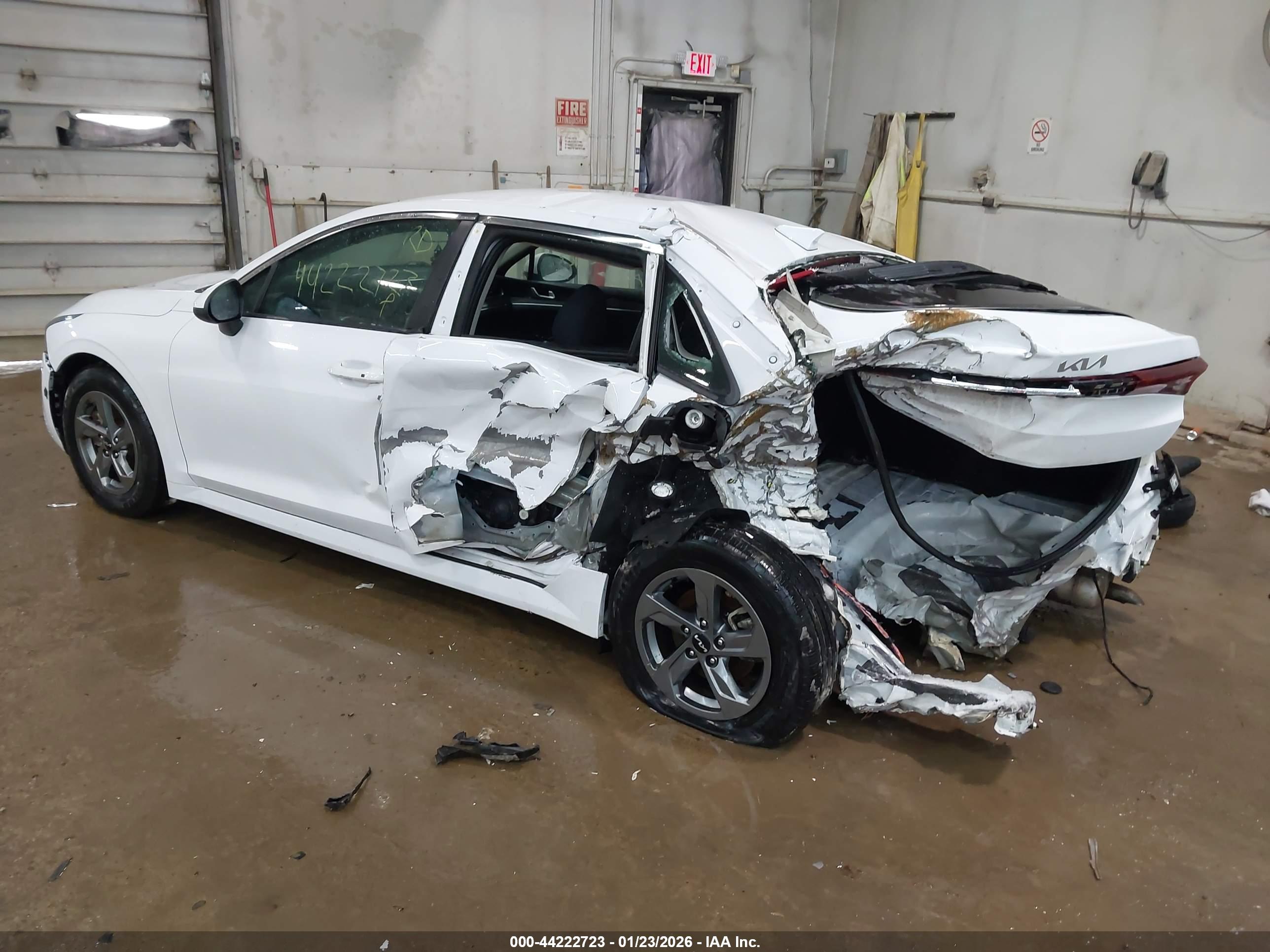 KIA K5 image 3