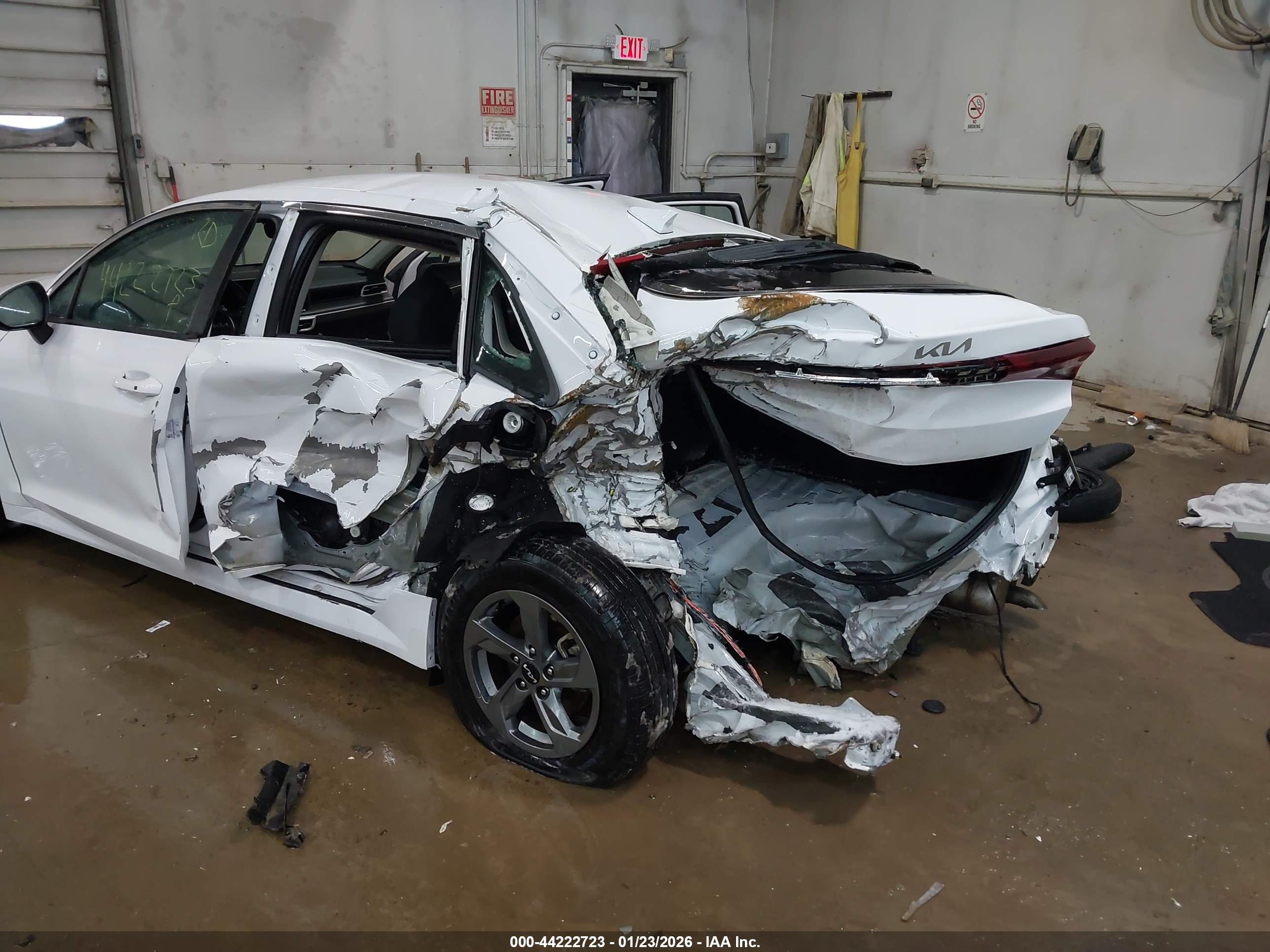 KIA K5 image 6