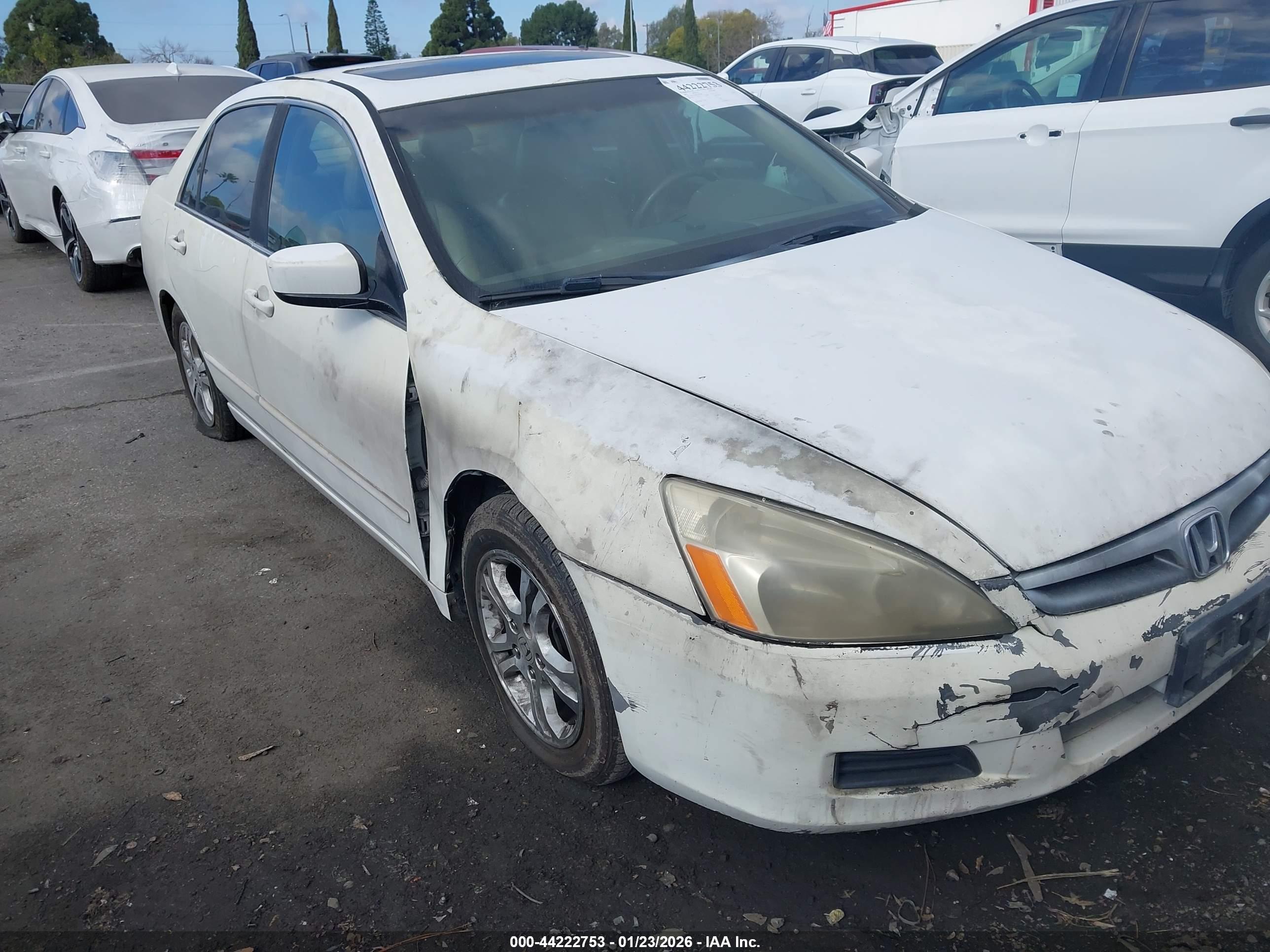 HONDA ACCORD image 6