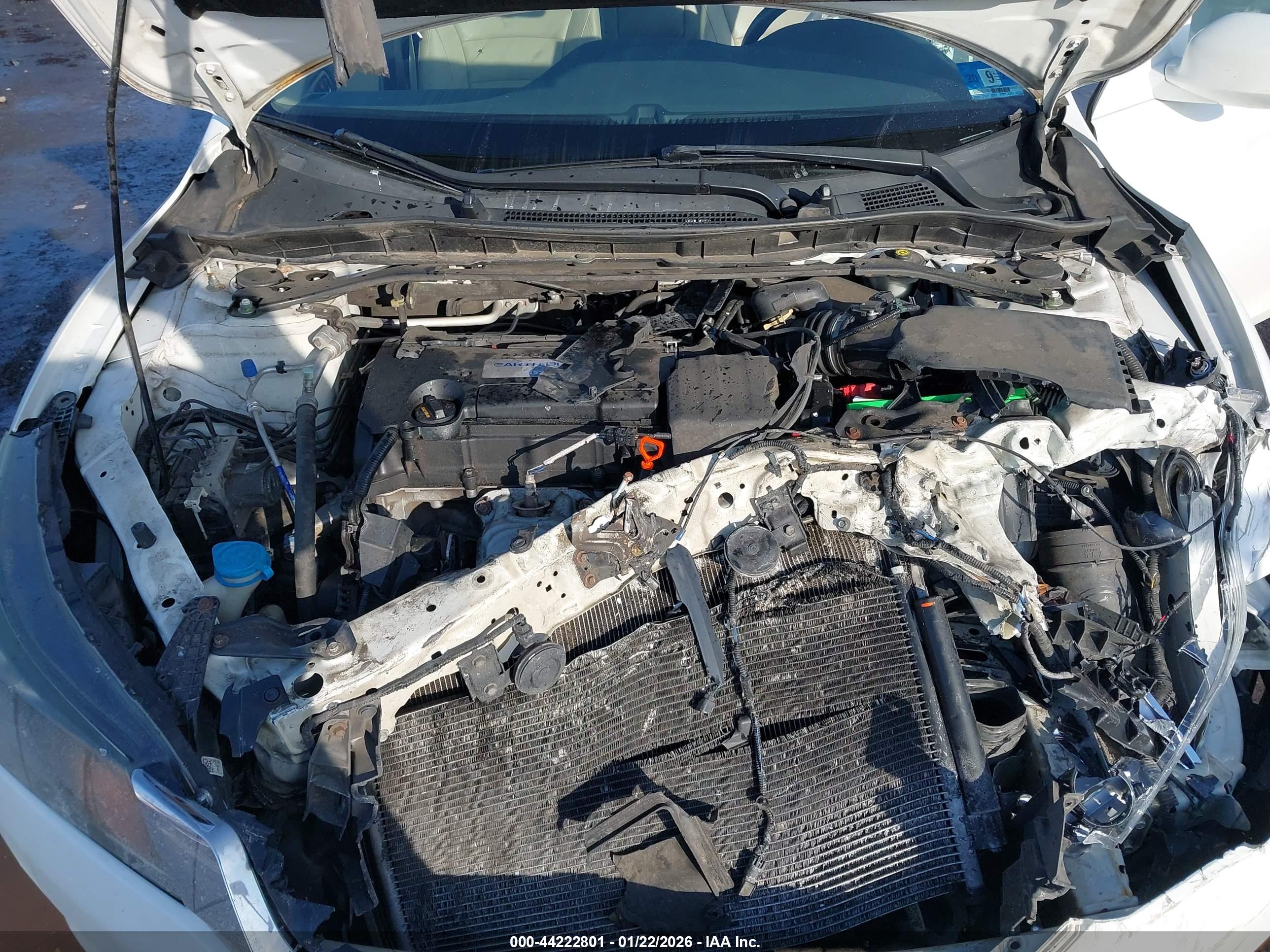 HONDA ACCORD image 10