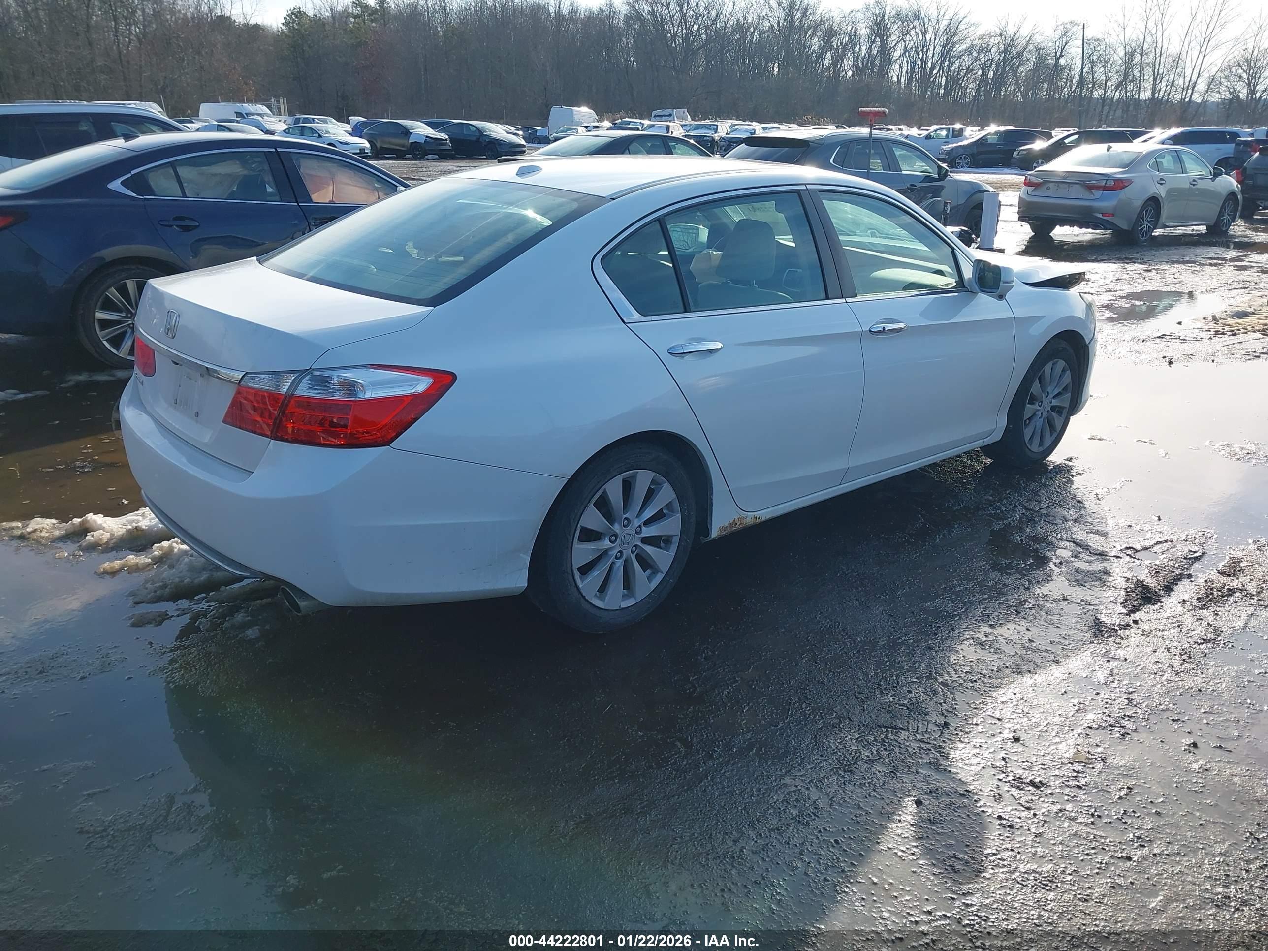 HONDA ACCORD image 4