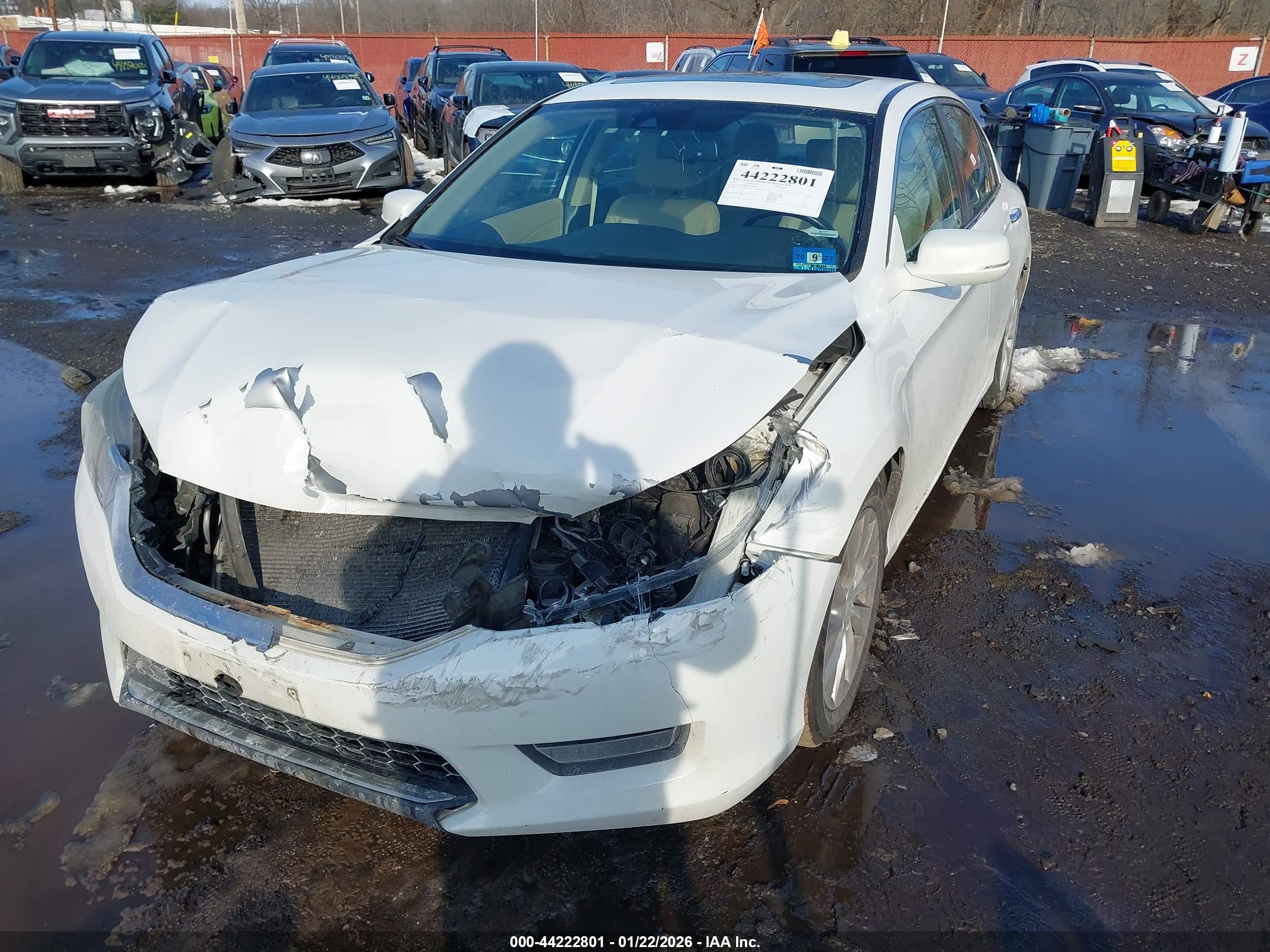HONDA ACCORD image 6