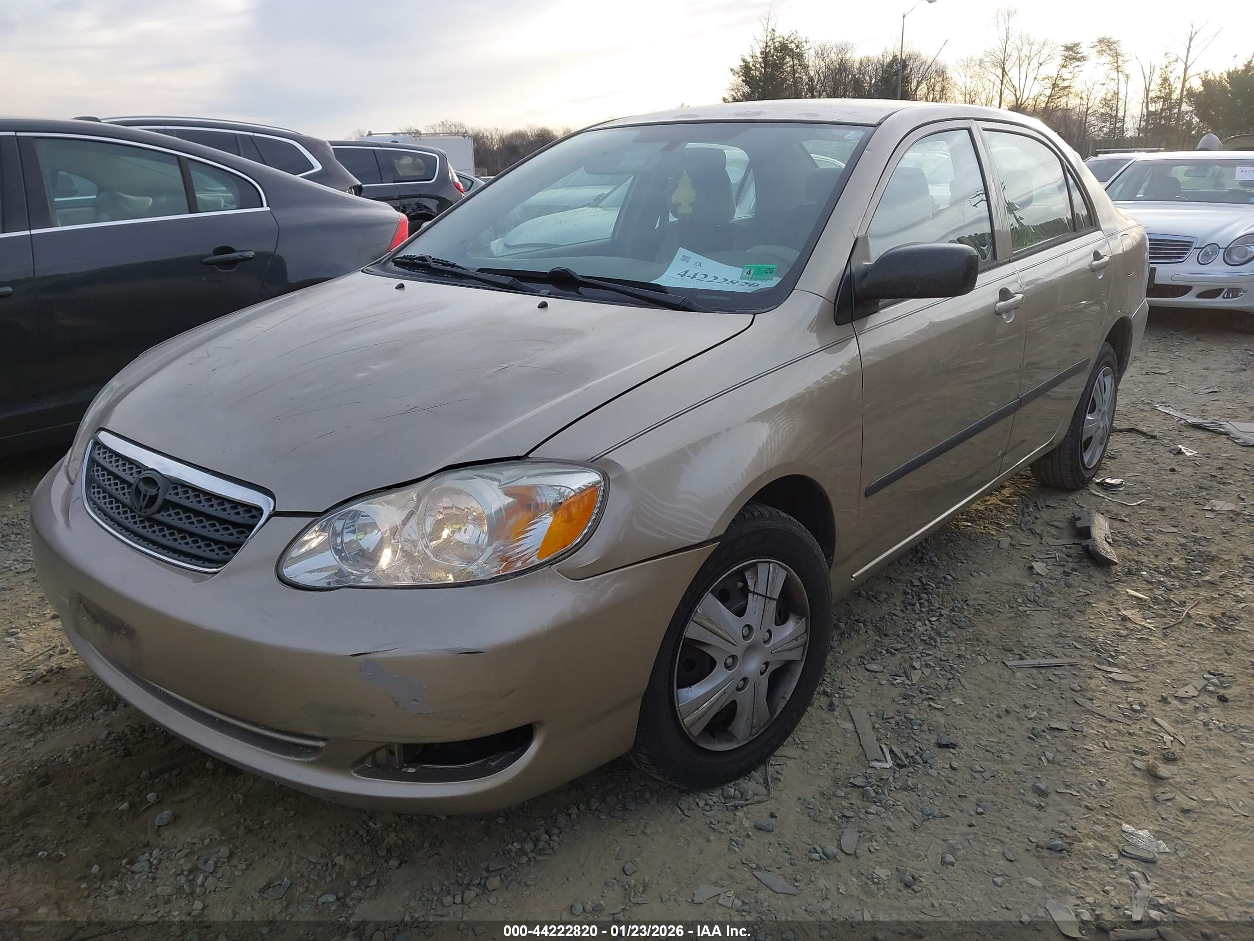 TOYOTA COROLLA image 2