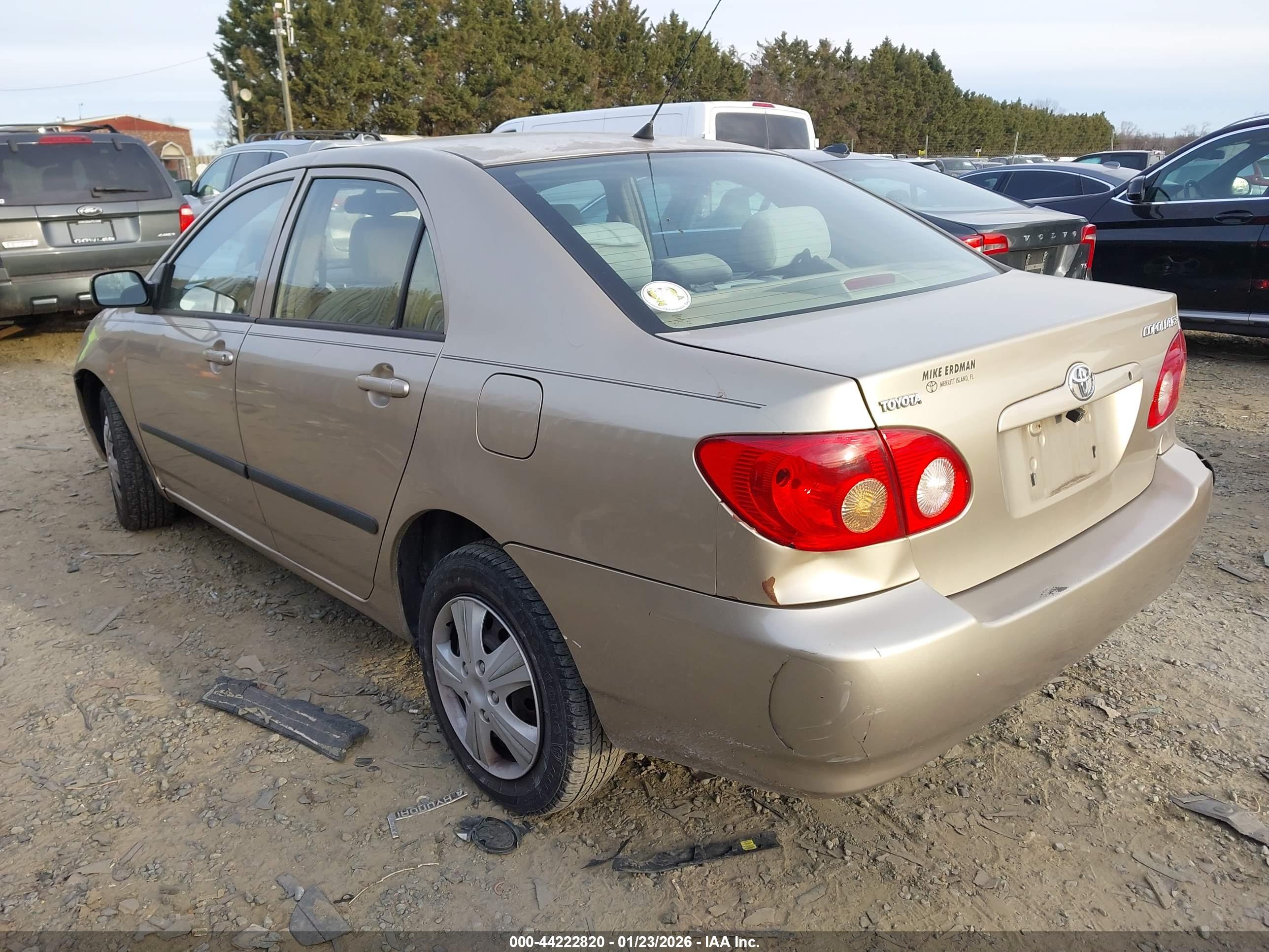 TOYOTA COROLLA image 3