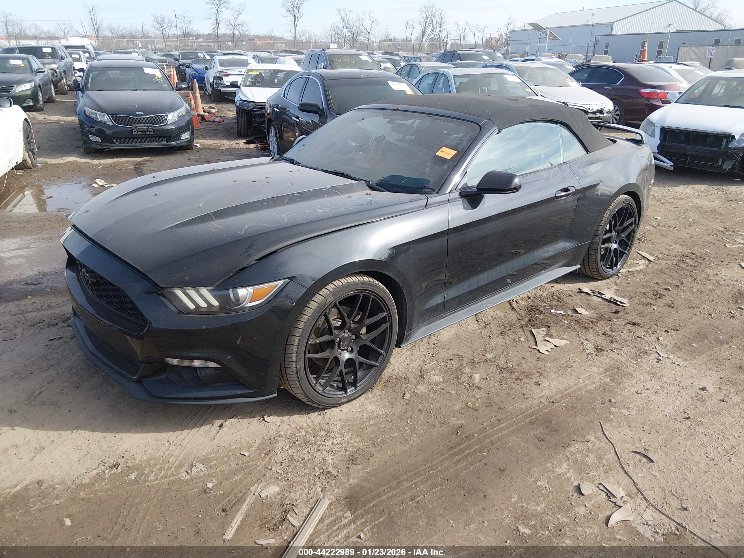 FORD MUSTANG image 2
