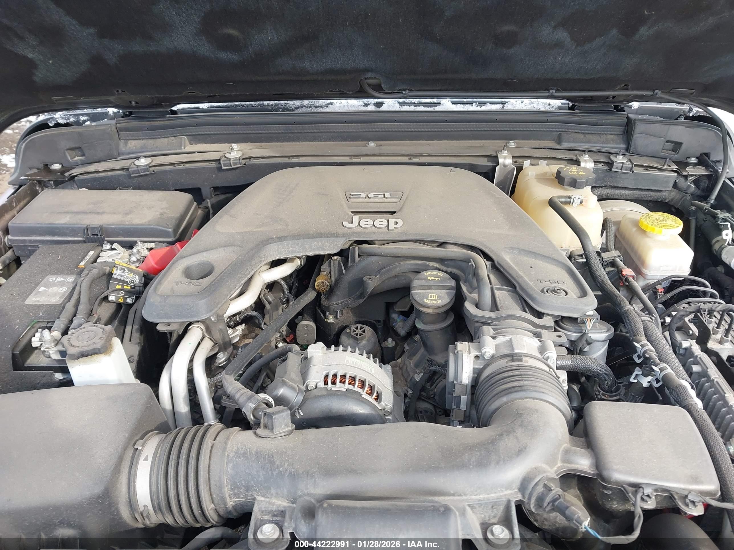 JEEP WRANGLER image 10