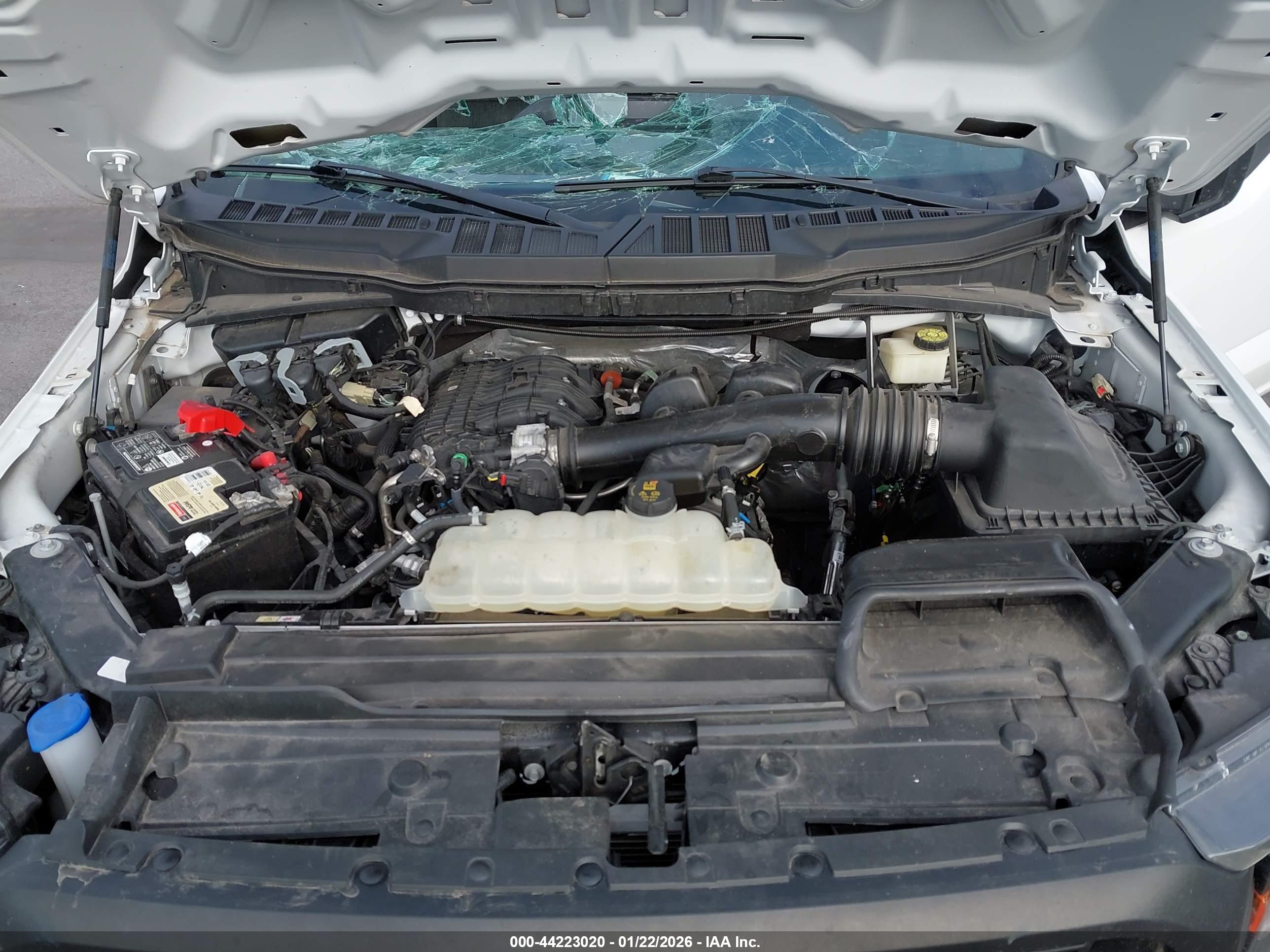 FORD F-150 image 10