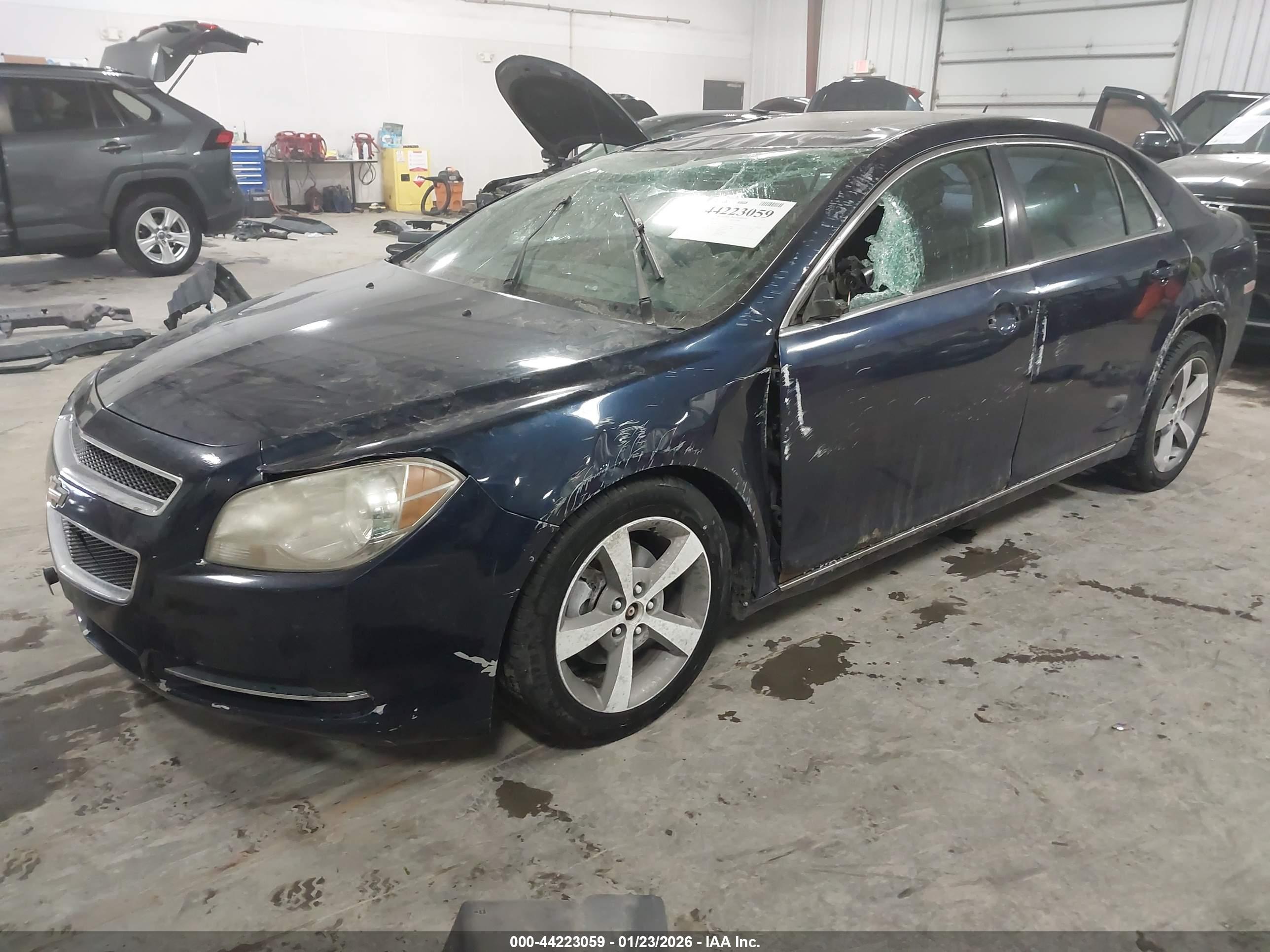 CHEVROLET MALIBU image 2